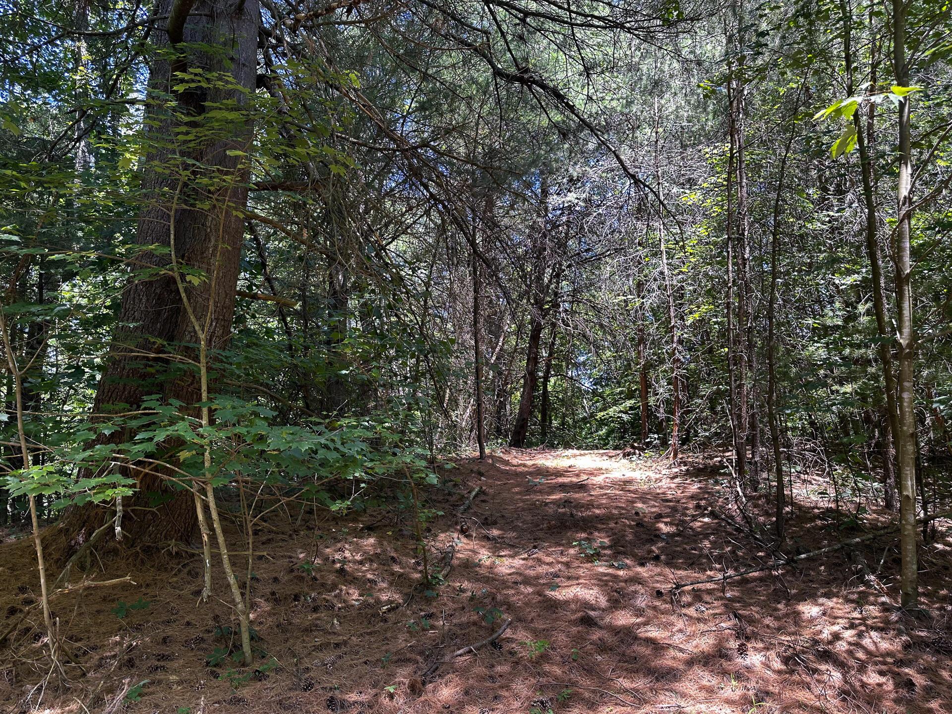 33114 Parkinson Road #TRACT 10 AT TITUS, Langsville, Ohio image 8