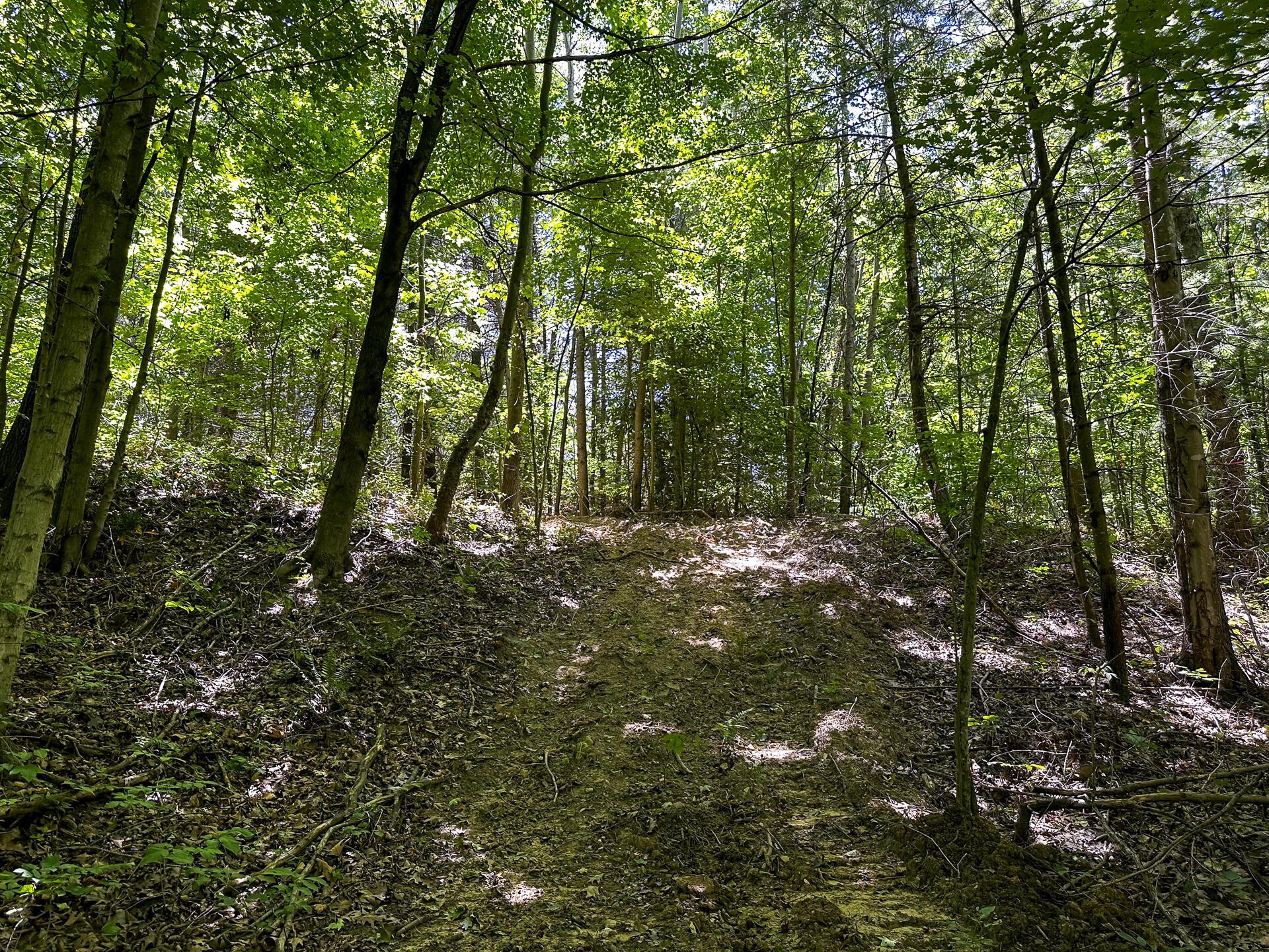 33114 Parkinson Road #TRACT 10 AT TITUS, Langsville, Ohio image 33