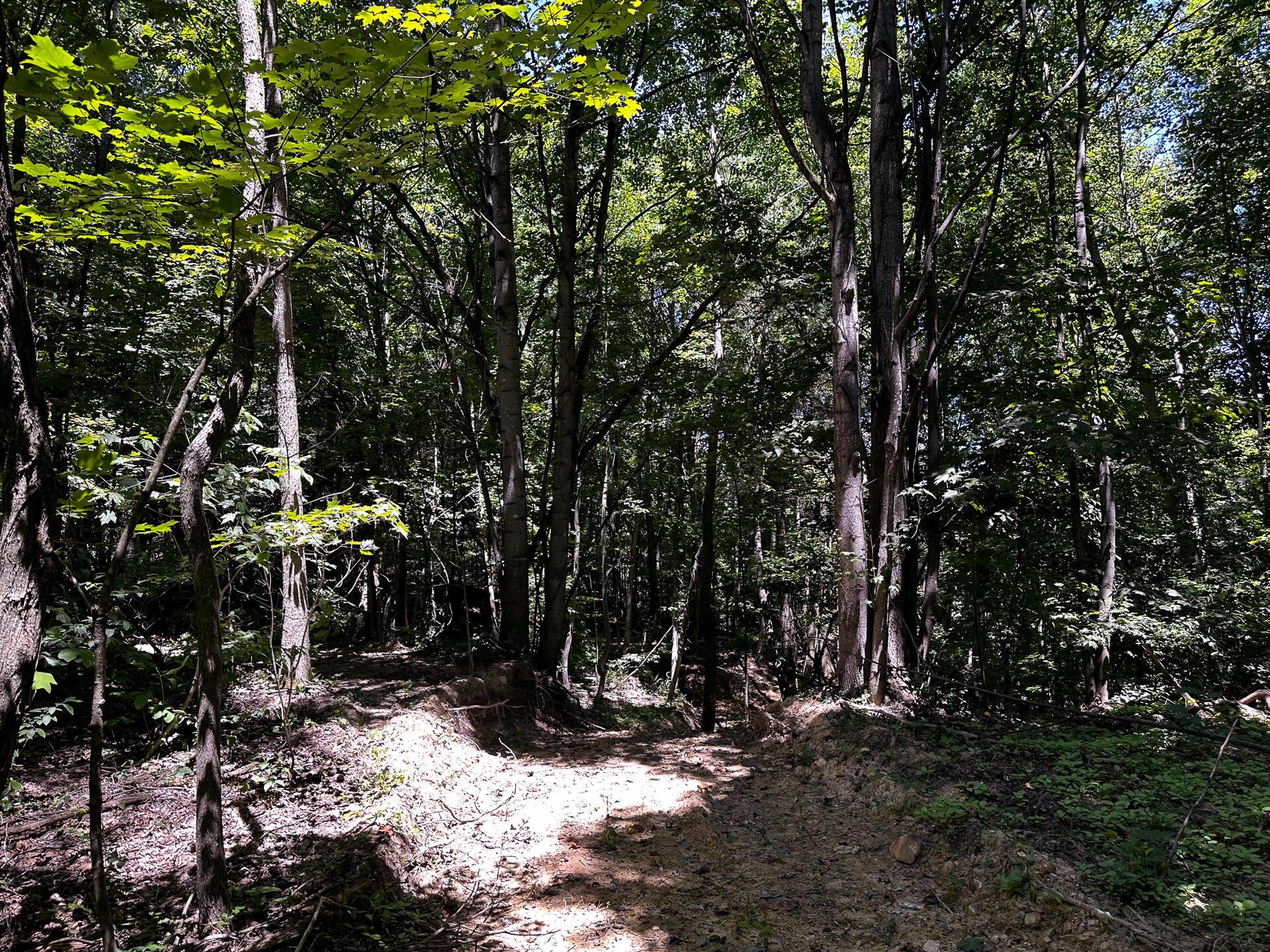 33114 Parkinson Road #TRACT 10 AT TITUS, Langsville, Ohio image 23