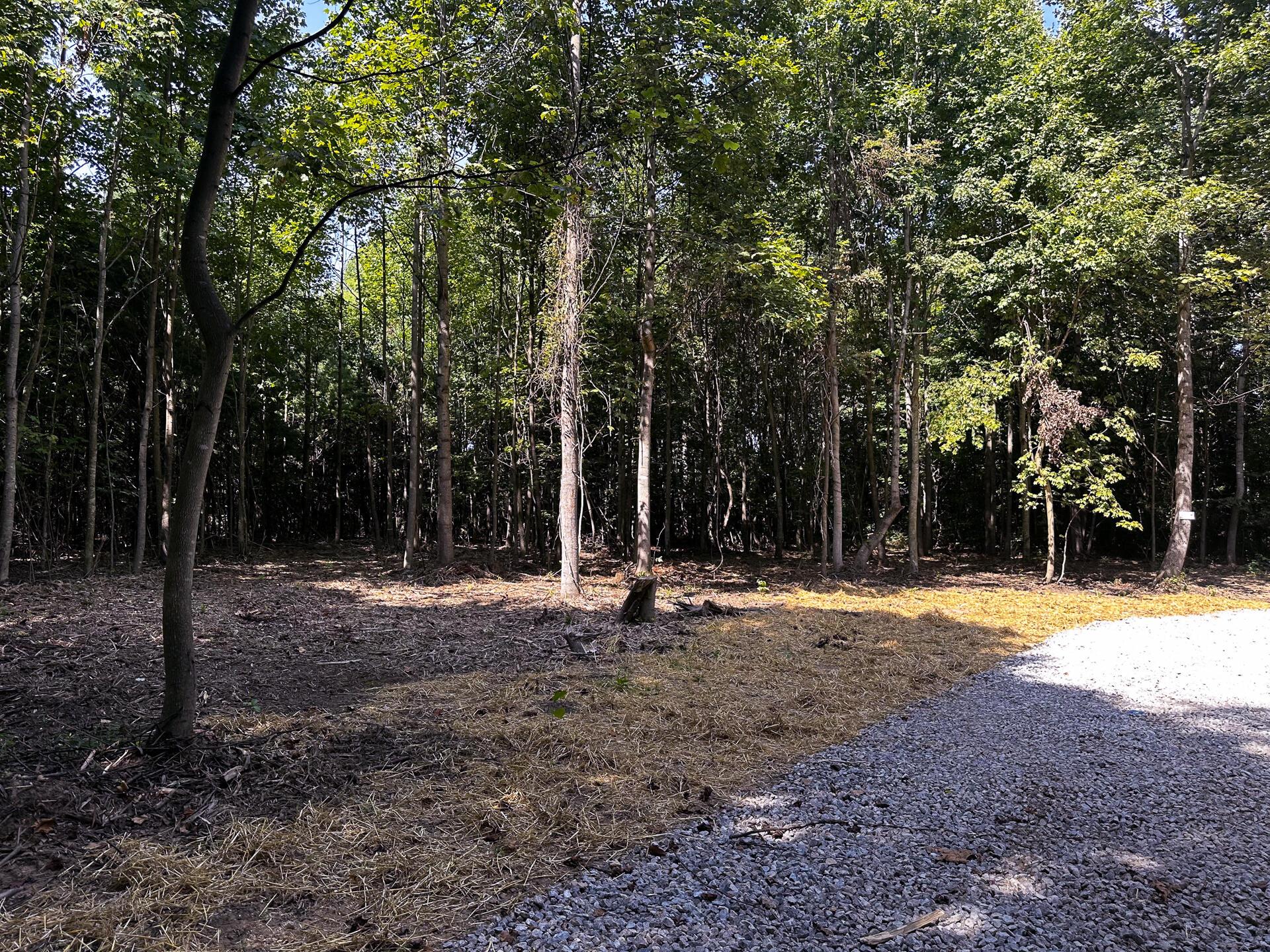 33114 Parkinson Road #TRACT 10 AT TITUS, Langsville, Ohio image 18