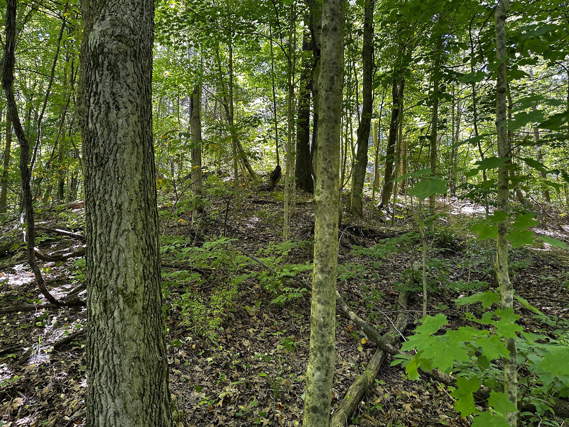 33114 Parkinson Road #TRACT 10 AT TITUS, Langsville, Ohio image 32