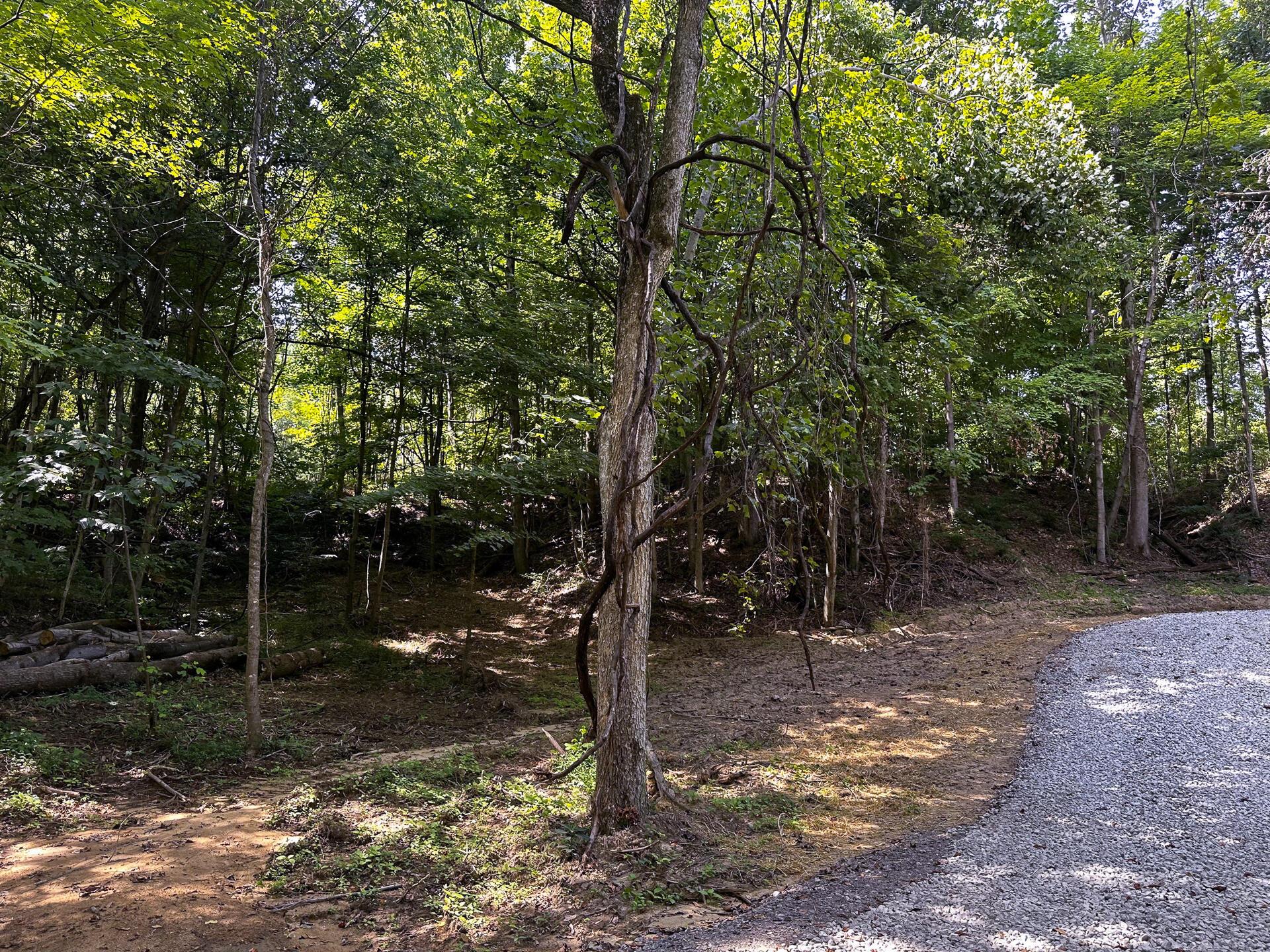 33114 Parkinson Road #TRACT 10 AT TITUS, Langsville, Ohio image 13