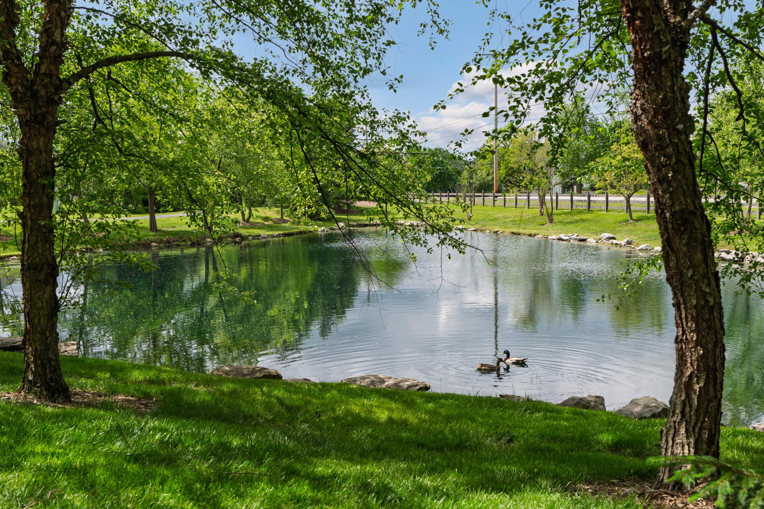 6275 Muirloch Court, Dublin, Ohio image 49
