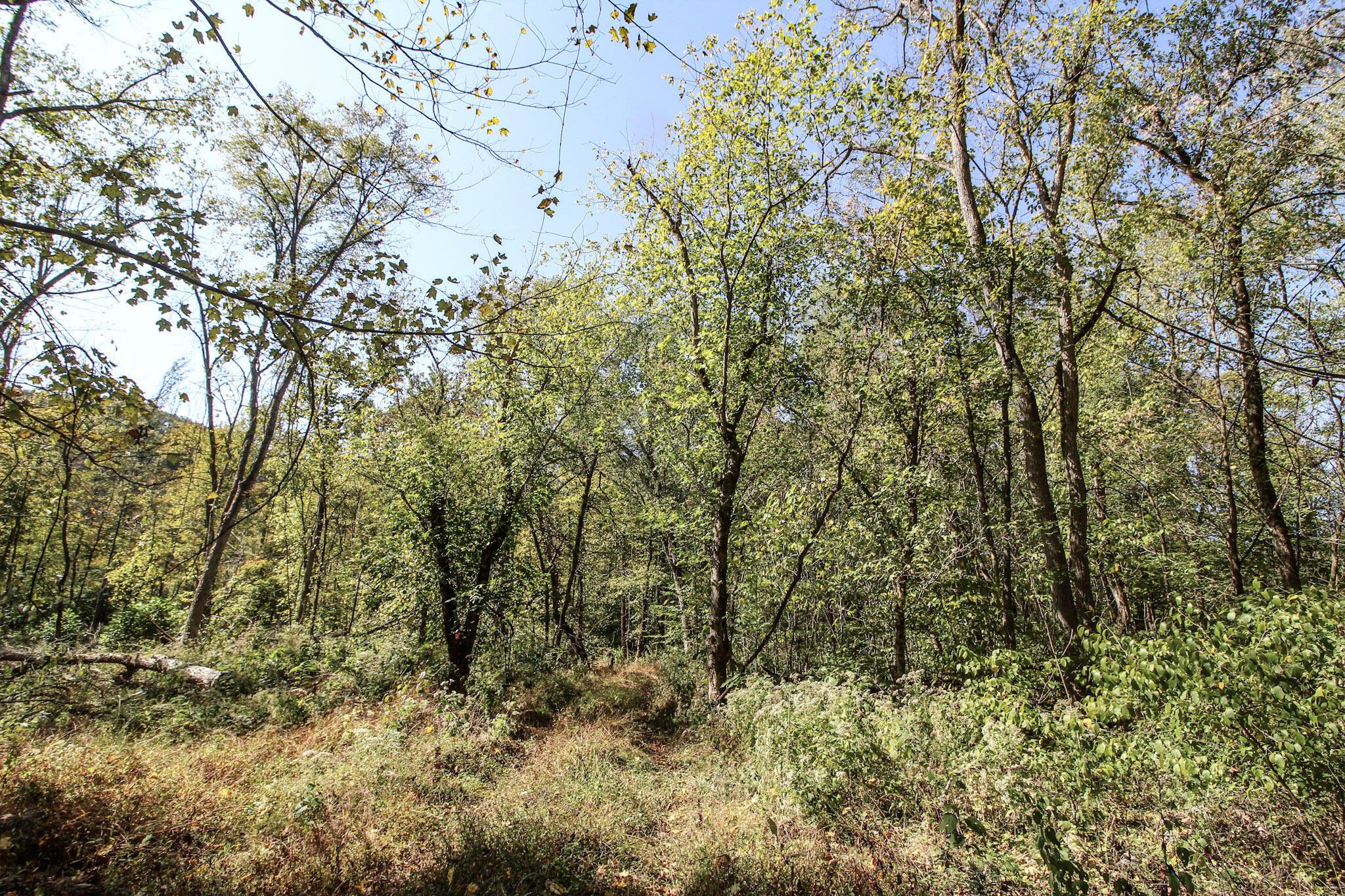 Lot 1 Brooks Road, Marietta, Ohio image 12