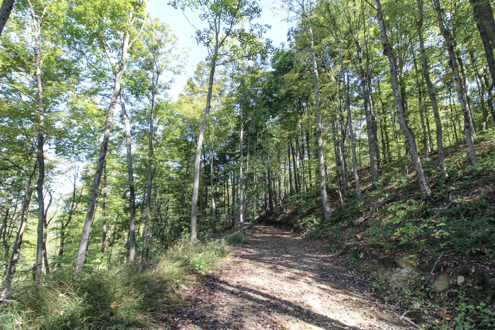 Lot 1 Brooks Road, Marietta, Ohio image 4