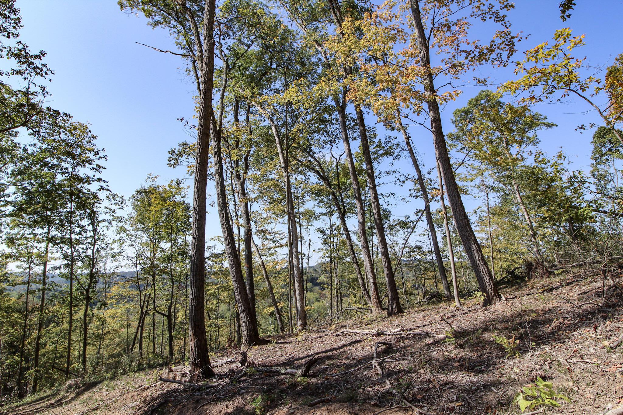 Lot 1 Brooks Road, Marietta, Ohio image 14