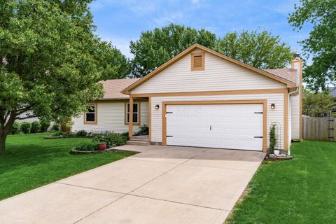 Photo of 411 Brandy Hill Avenue, Pickerington, OH 43147 (MLS # 226014131)