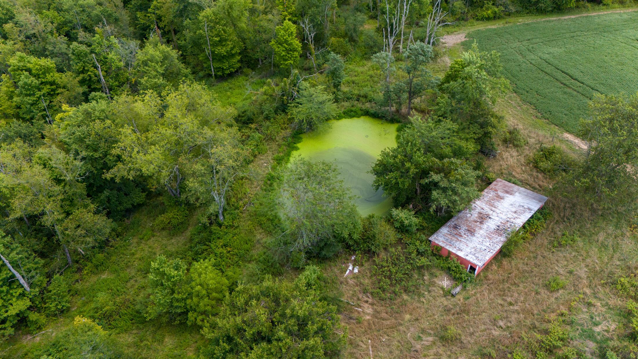 560 Trapp Lane Ln, Hopewell, Ohio image 10