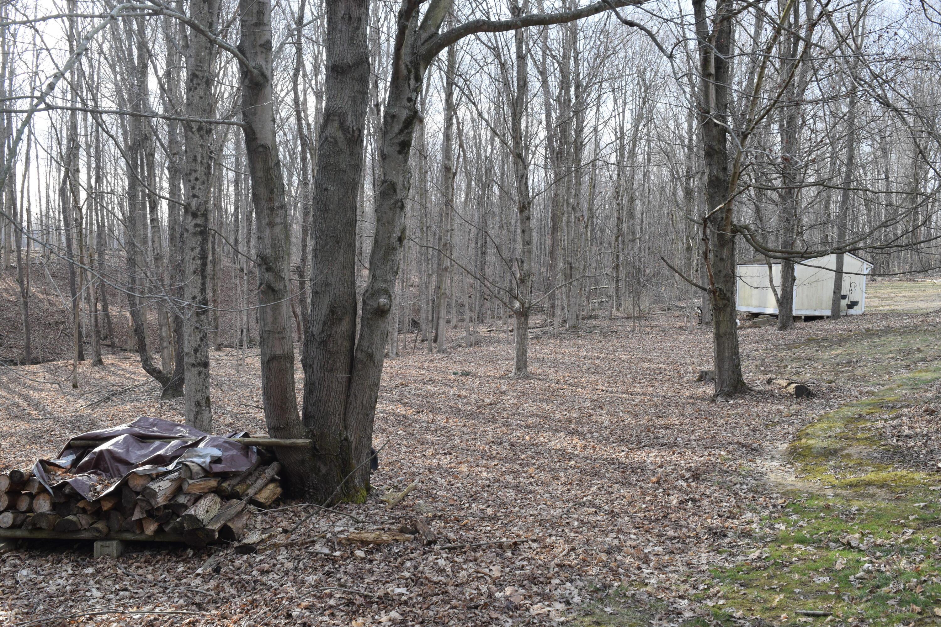 4465 Beard Road, Sunbury, Ohio image 10
