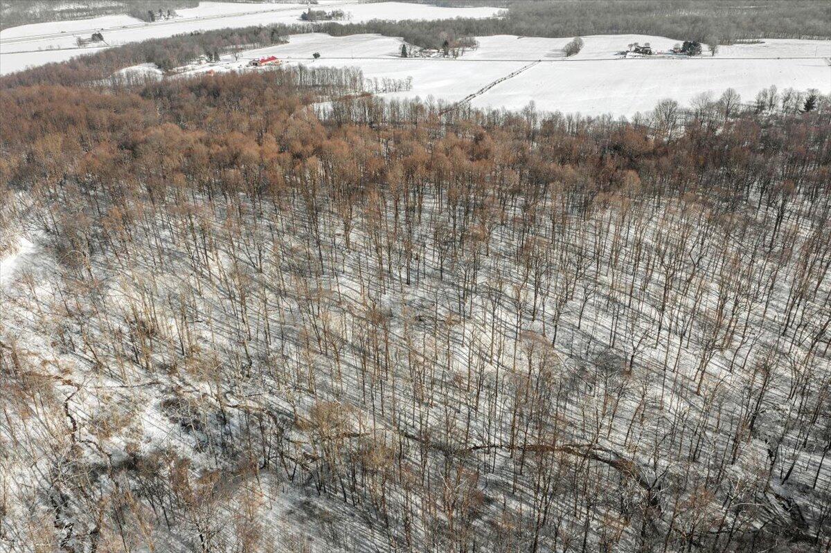 Township Rd 147, Zanesfield, Ohio image 5
