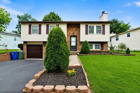 Photo of 3986 Blueberry Hollow Road, Columbus, OH 43230 (MLS # 226021380)
