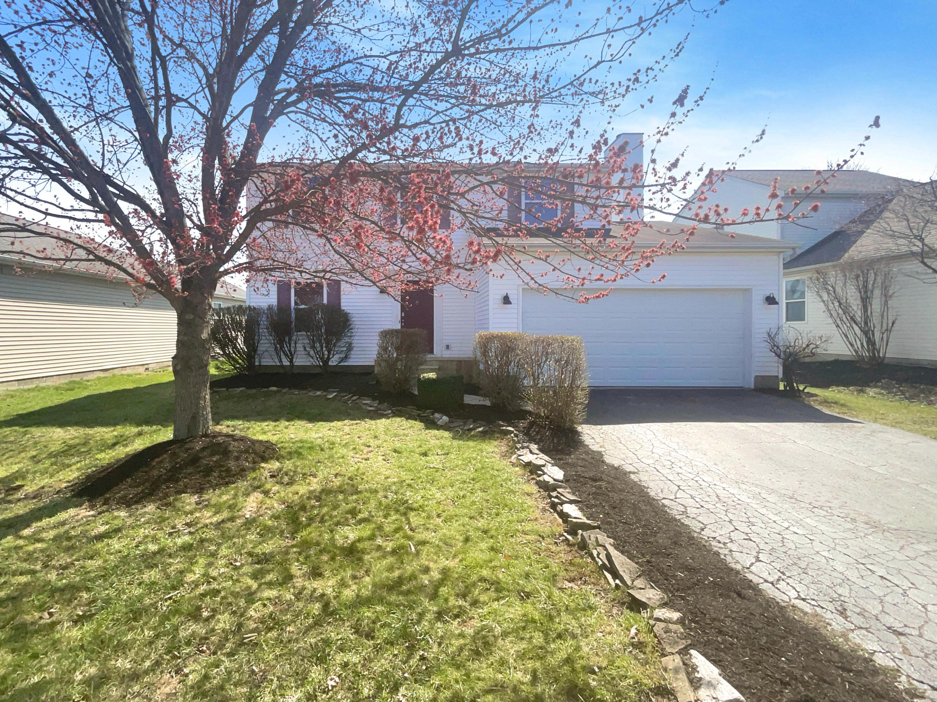 4895 Brice Meadow Drive, Canal Winchester, Ohio image 1