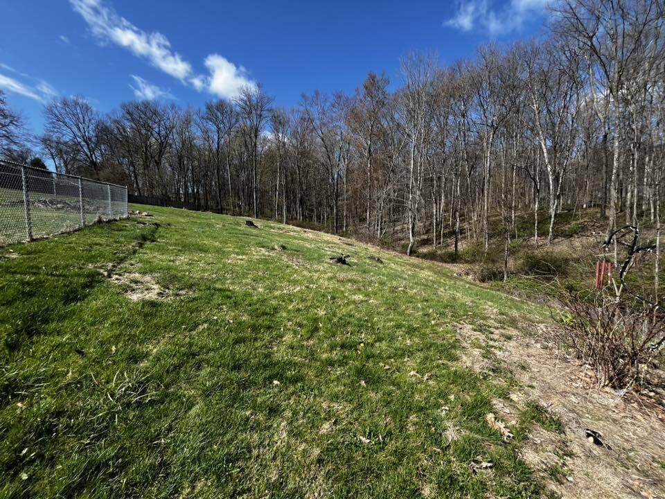 11219 Millersburg Road, Howard, Ohio image 32