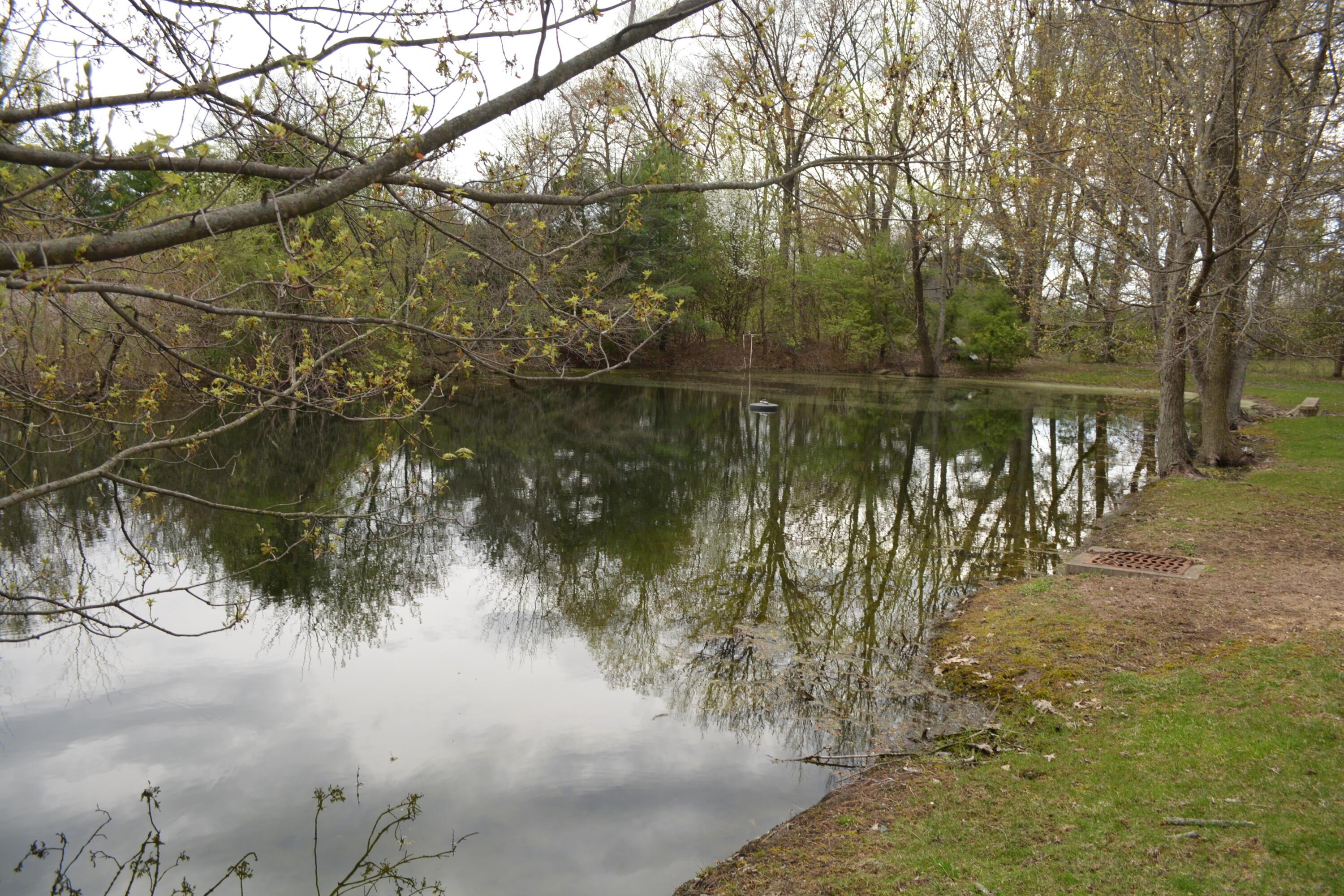 Powell, Ohio 43065, United States, ,Residential,Active,155738