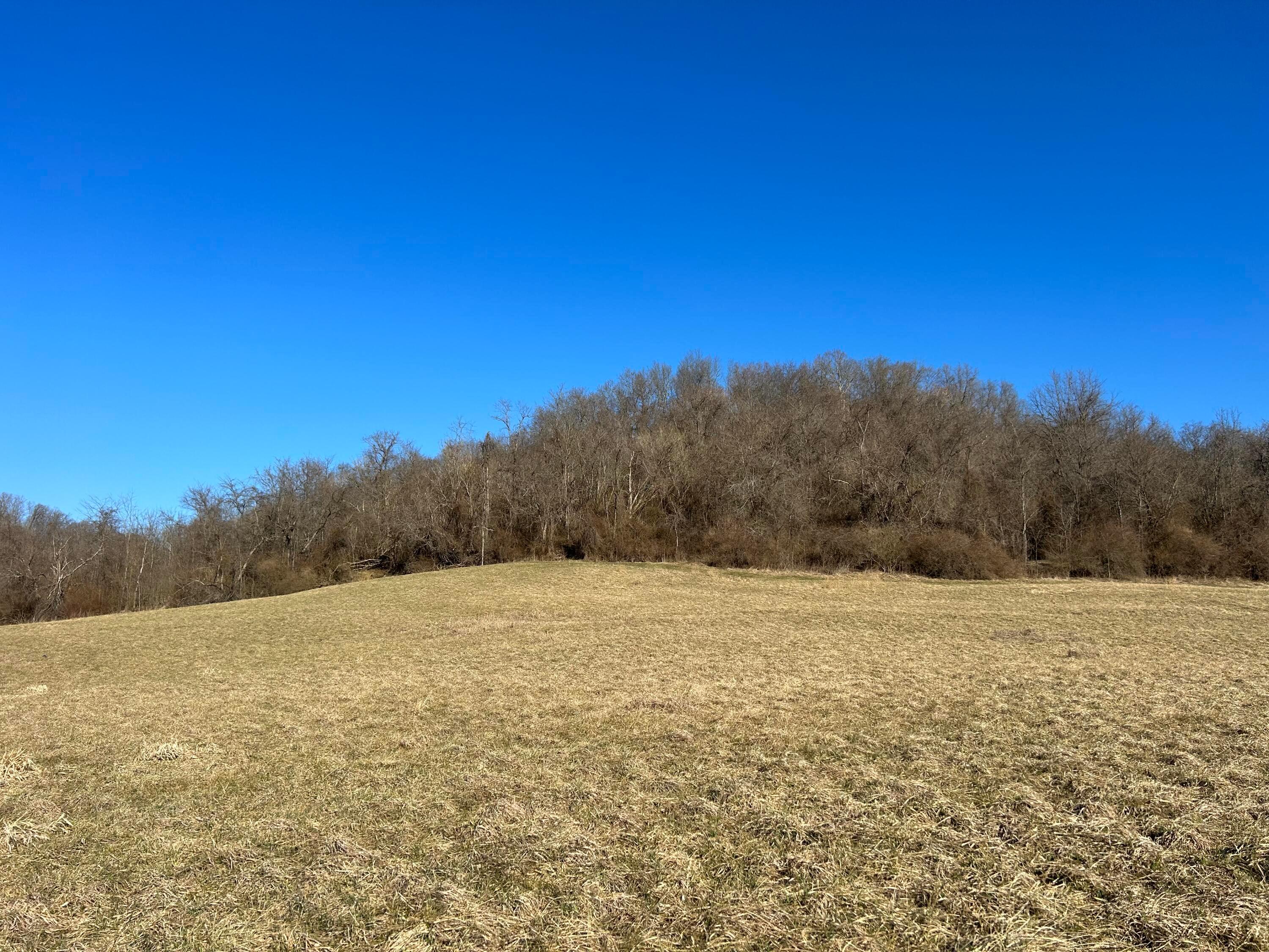 Oh-550, Amesville, Ohio image 20
