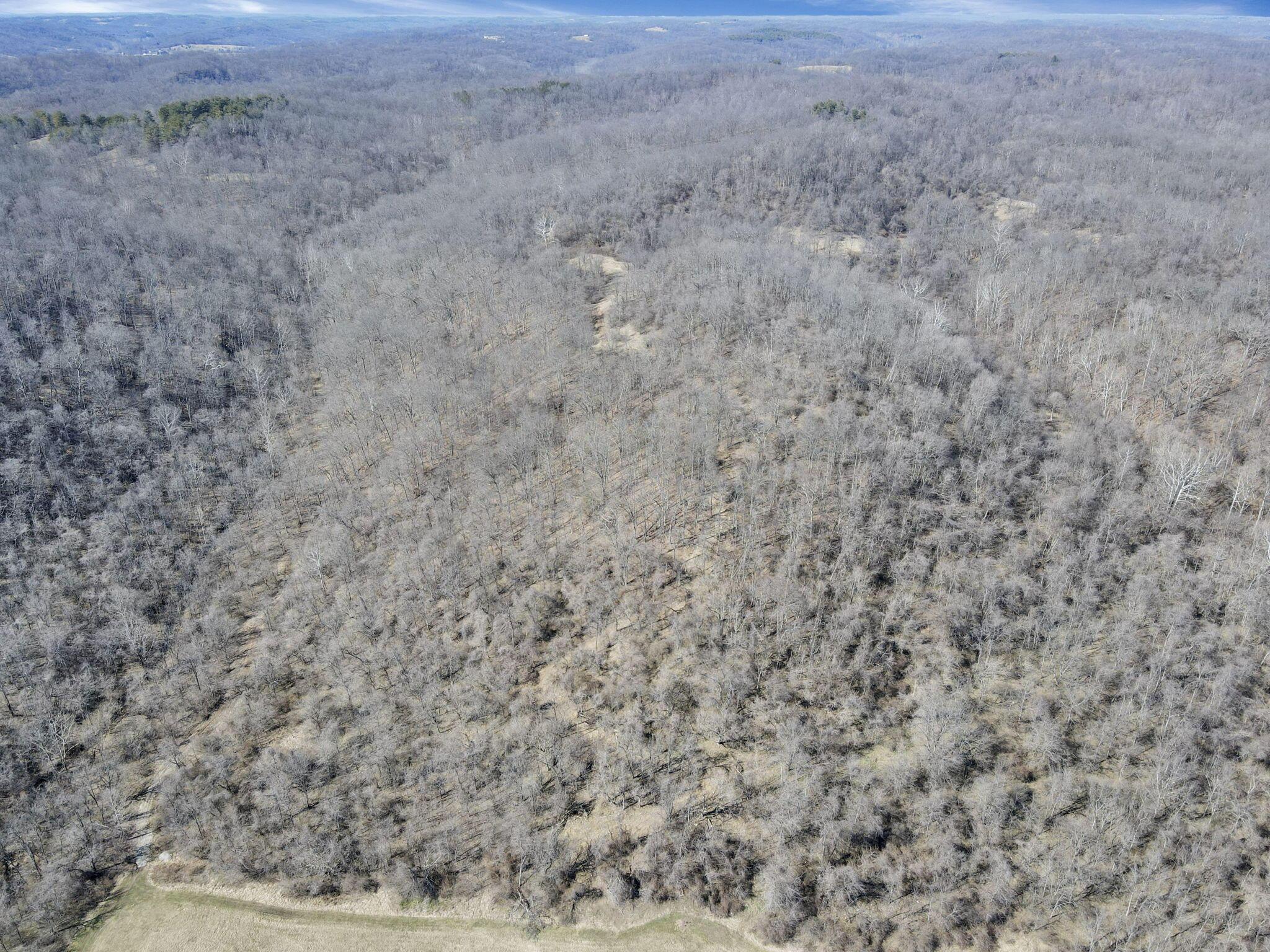 Oh-550, Amesville, Ohio image 10