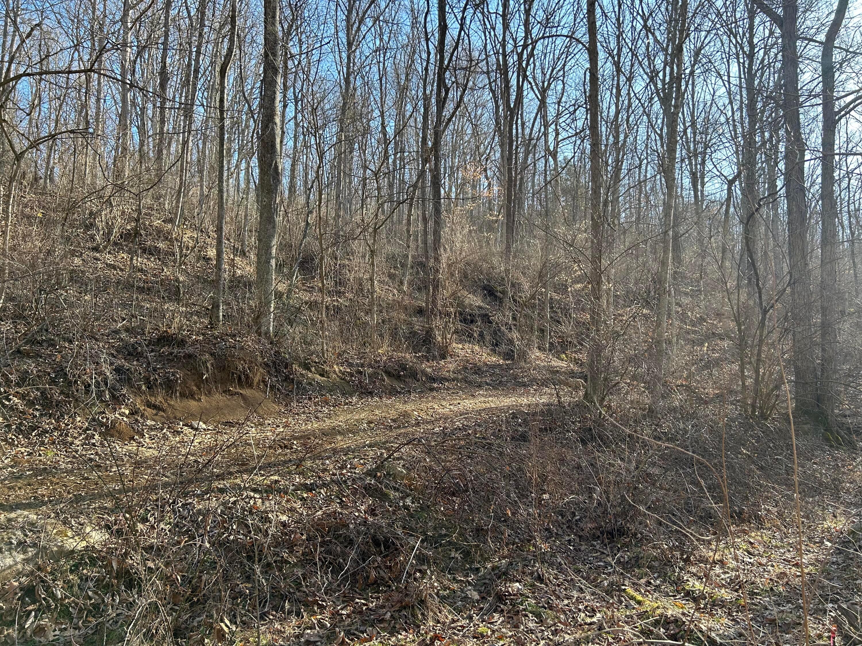 Oh-550, Amesville, Ohio image 36