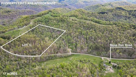 Vacant Land For Sale - Moss Run Road<br/> Marietta, OH 45750