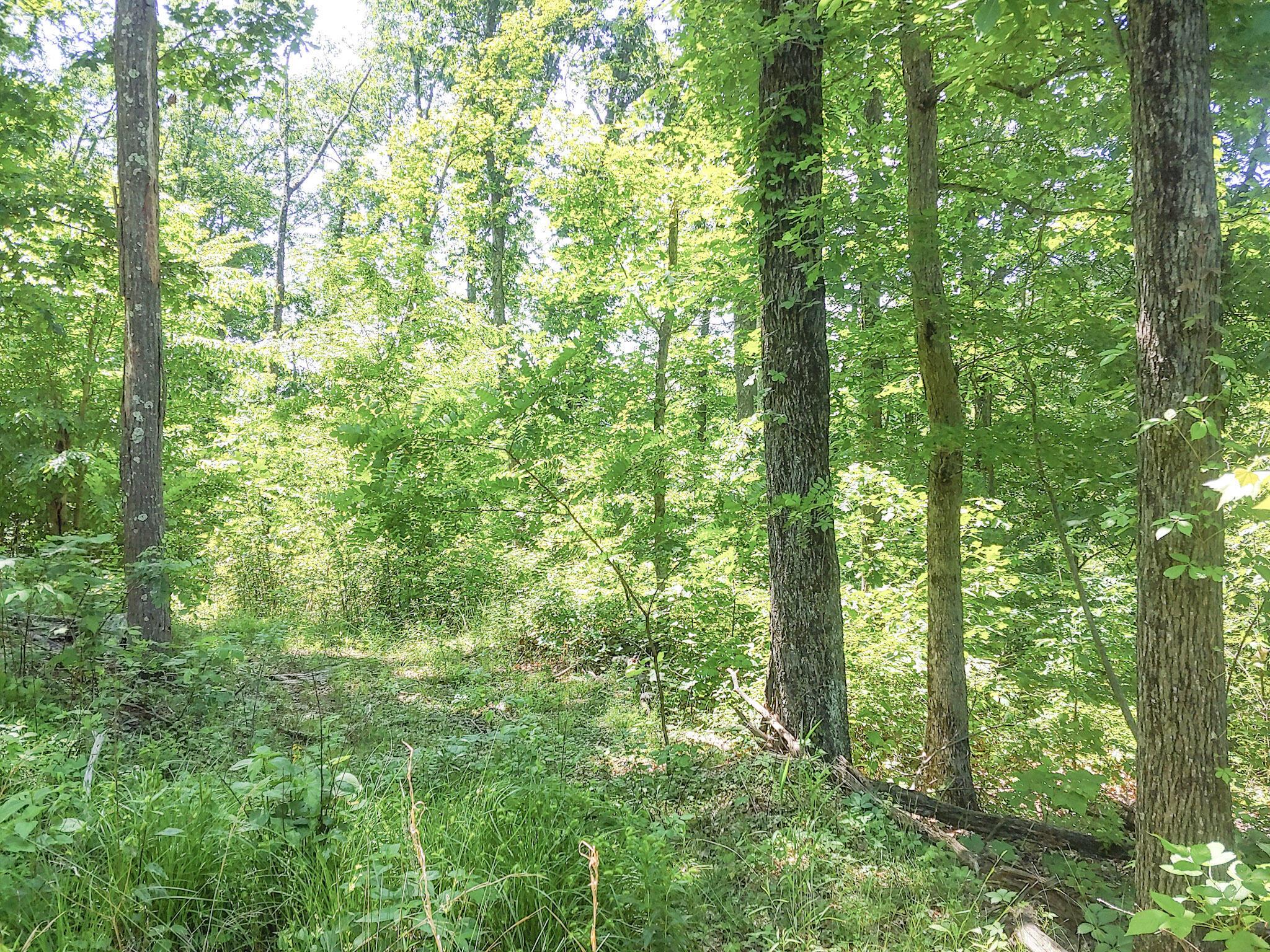 Moss Run Road, Marietta, Ohio image 11