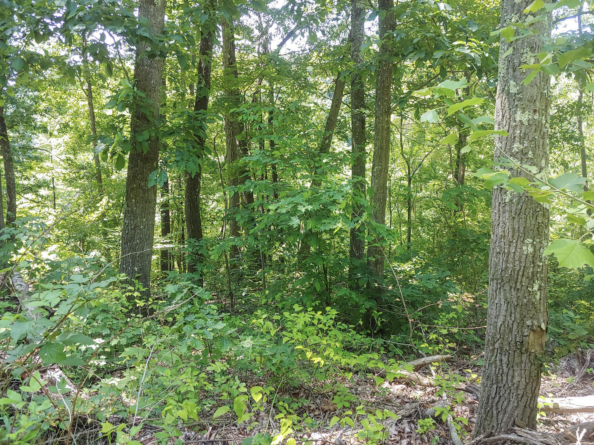 Moss Run Road, Marietta, Ohio image 12