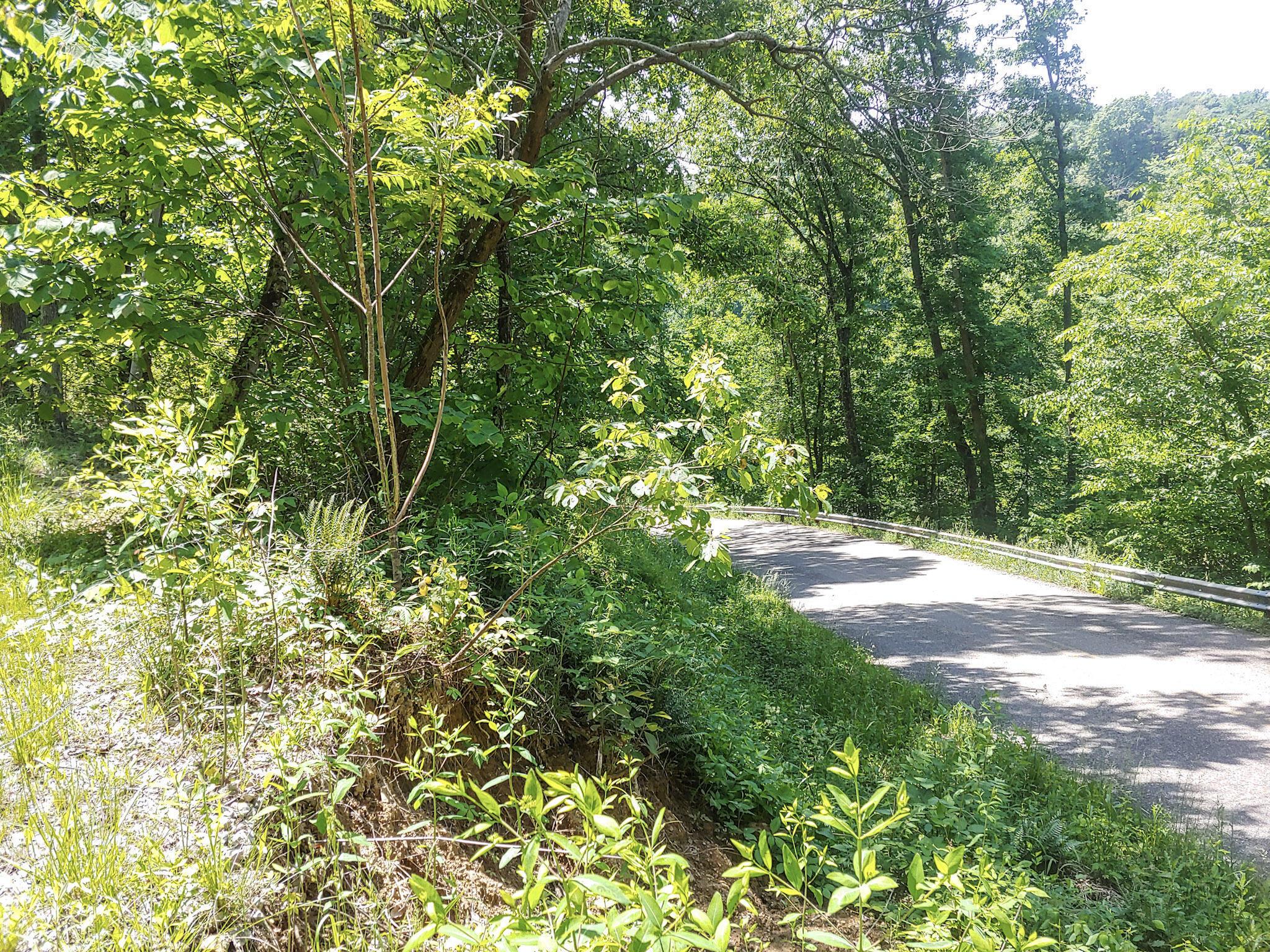 Moss Run Road, Marietta, Ohio image 13