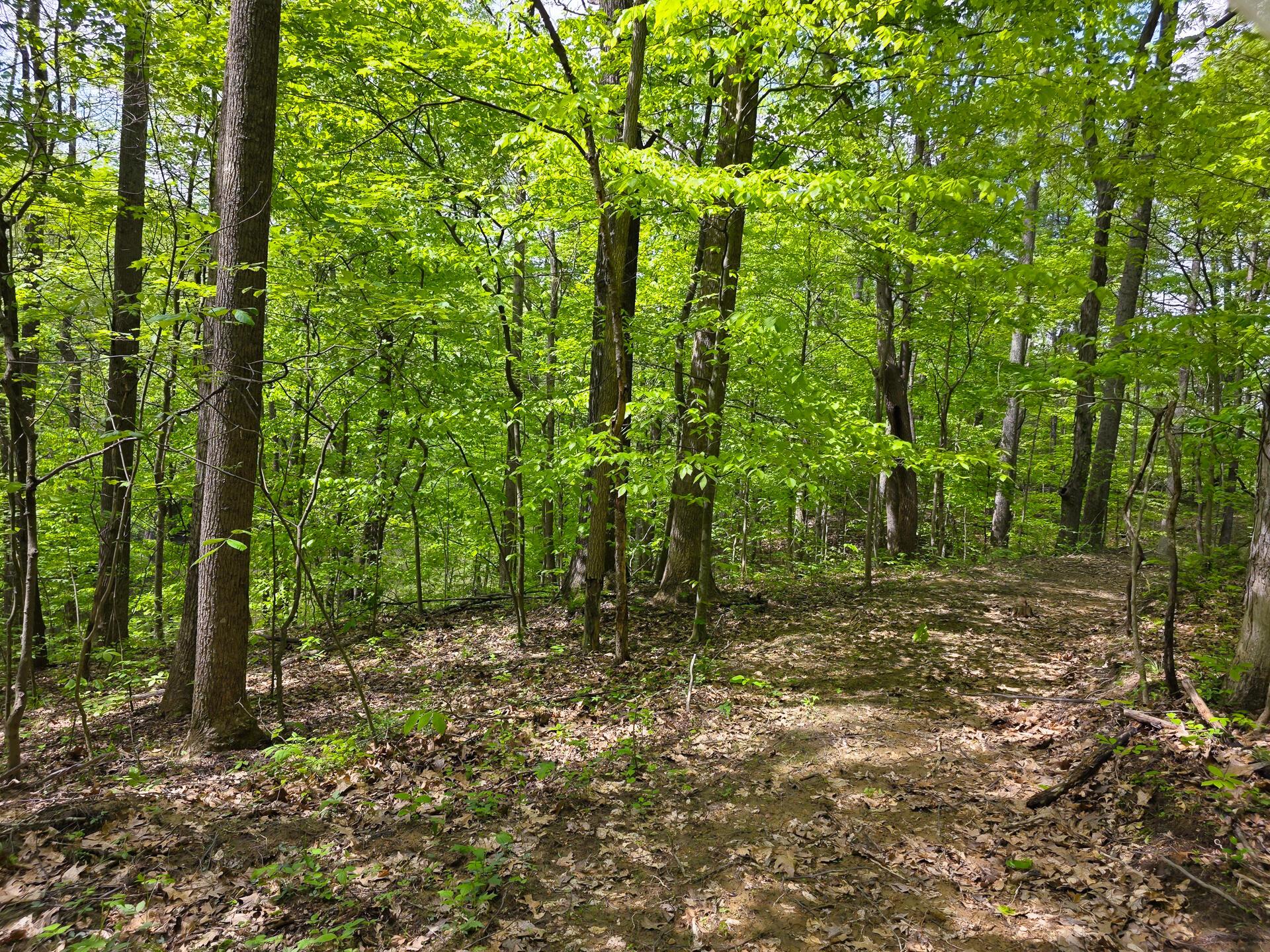 32119 Red Hill Road #COUNTRYSIDE CABIN BIG TI, Langsville, Ohio image 36