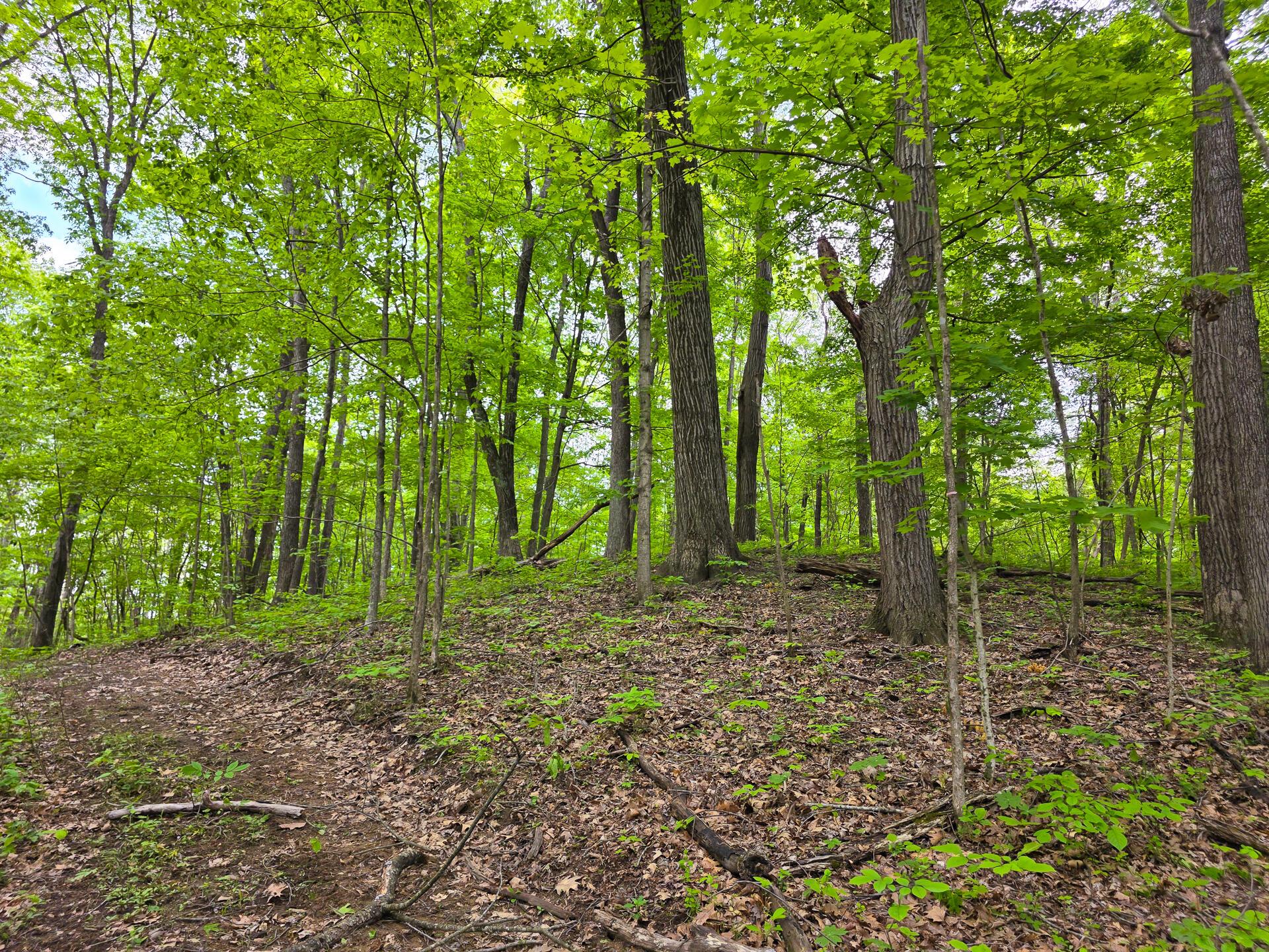 32119 Red Hill Road #COUNTRYSIDE CABIN BIG TI, Langsville, Ohio image 13