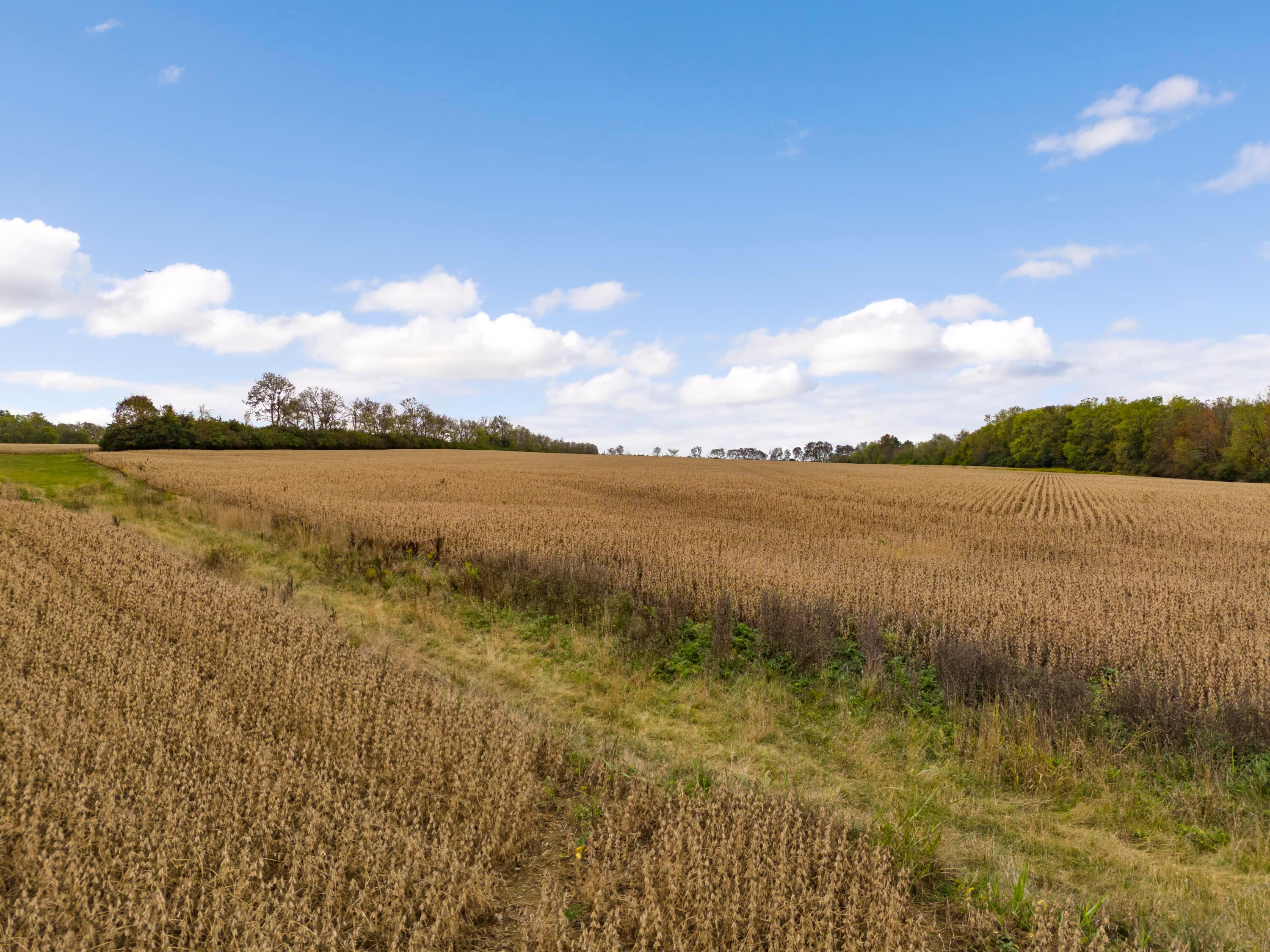 E Lower Springboro Road, Waynesville, Ohio image 11