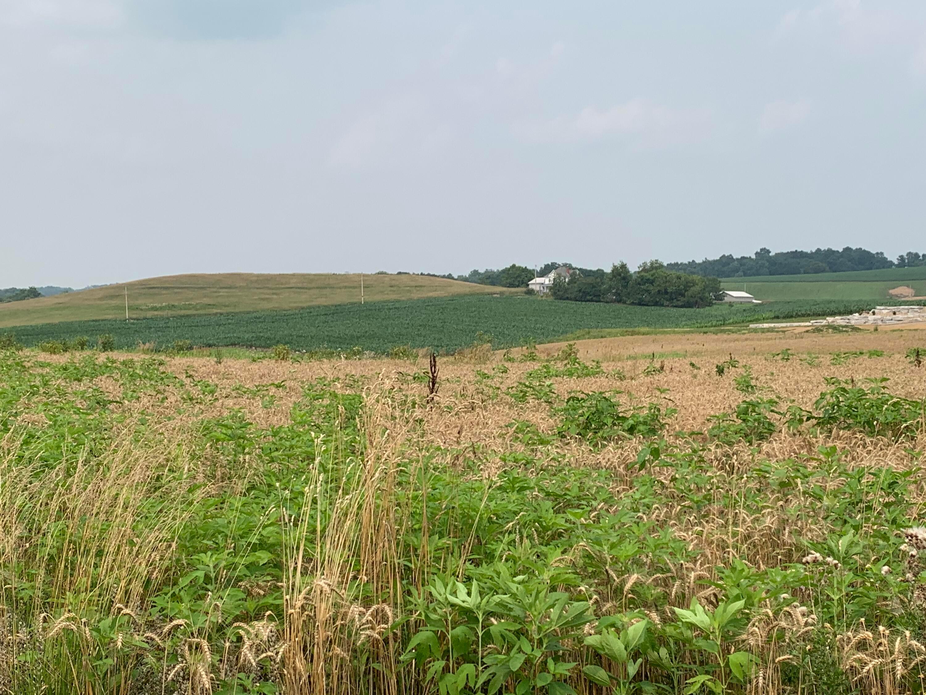5402 Newton Road, Newark, Ohio image 12