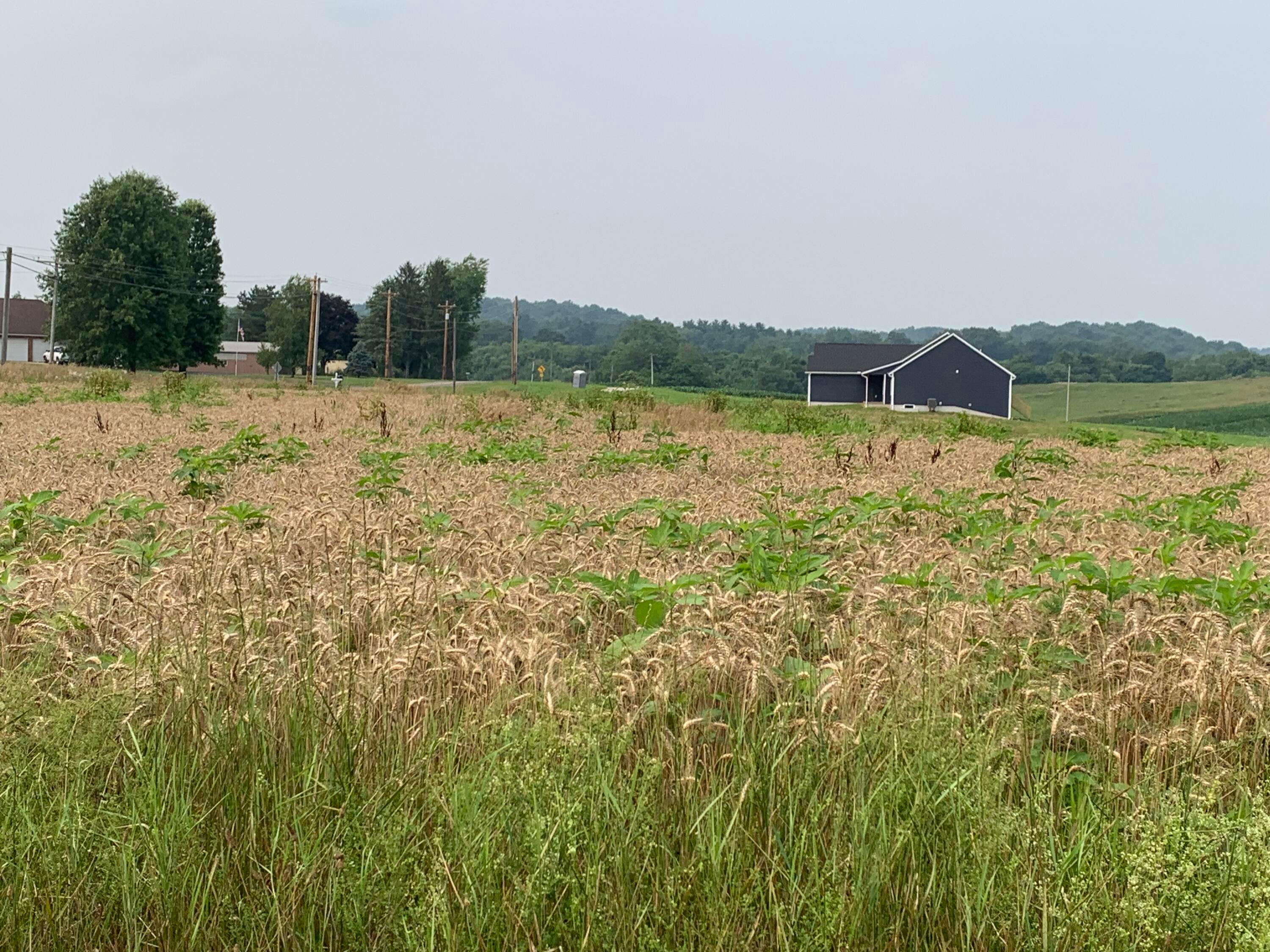 5402 Newton Road, Newark, Ohio image 3