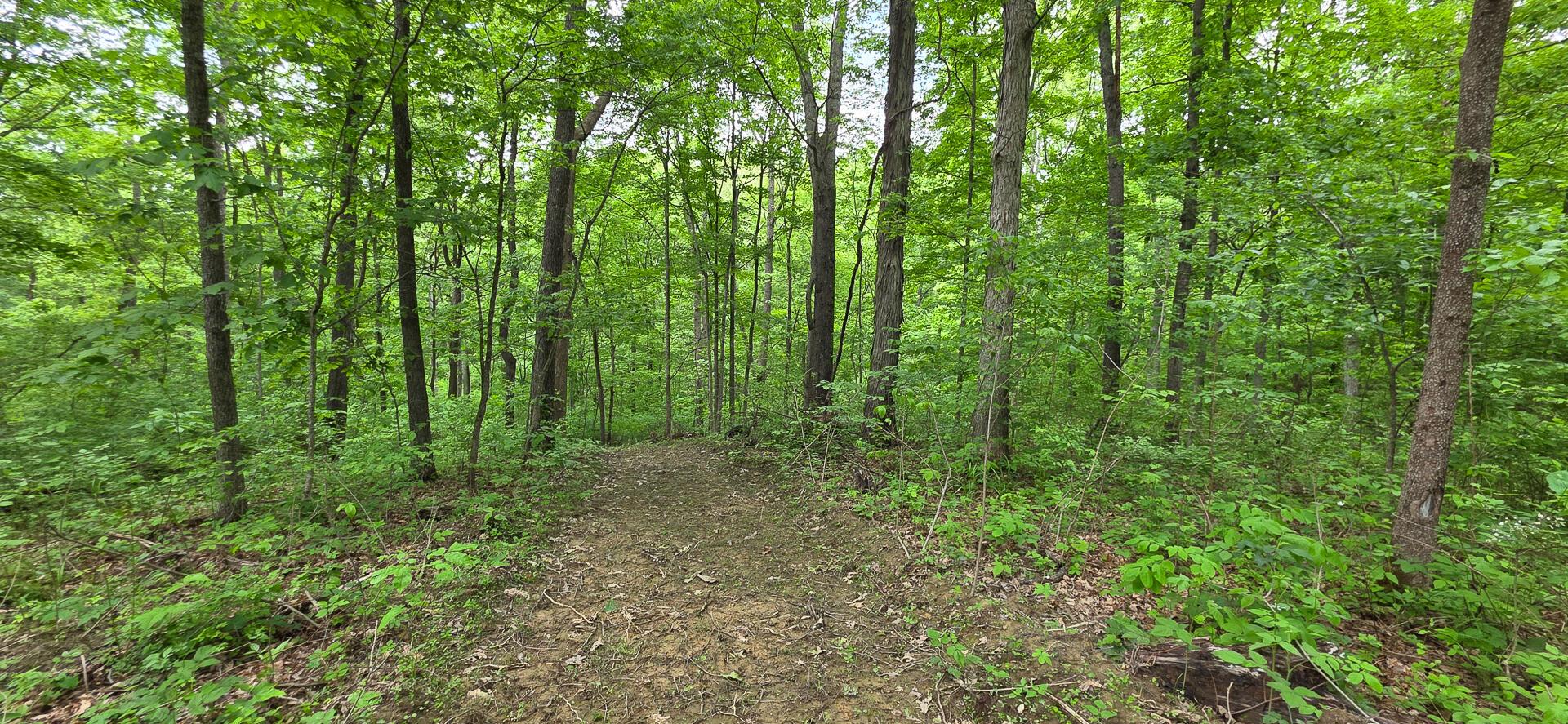 Edmunson Road #TRACT 2 AT BIG TIMBER, Vinton, Ohio image 21