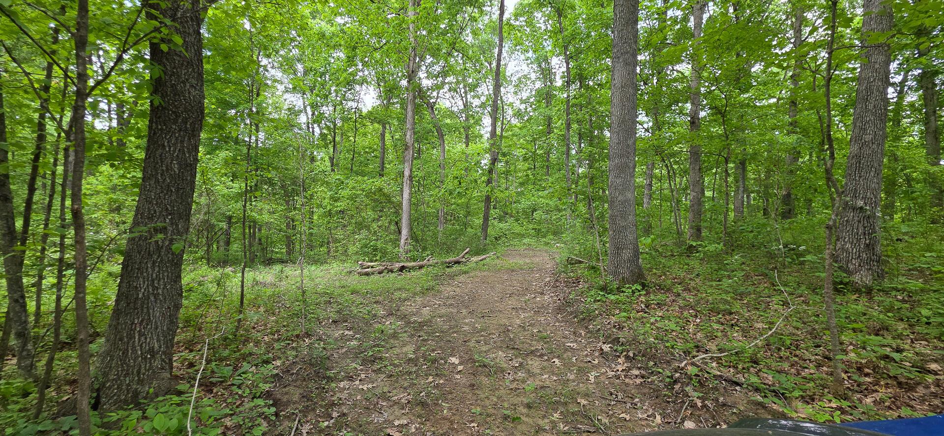 Edmunson Road #TRACT 2 AT BIG TIMBER, Vinton, Ohio image 20