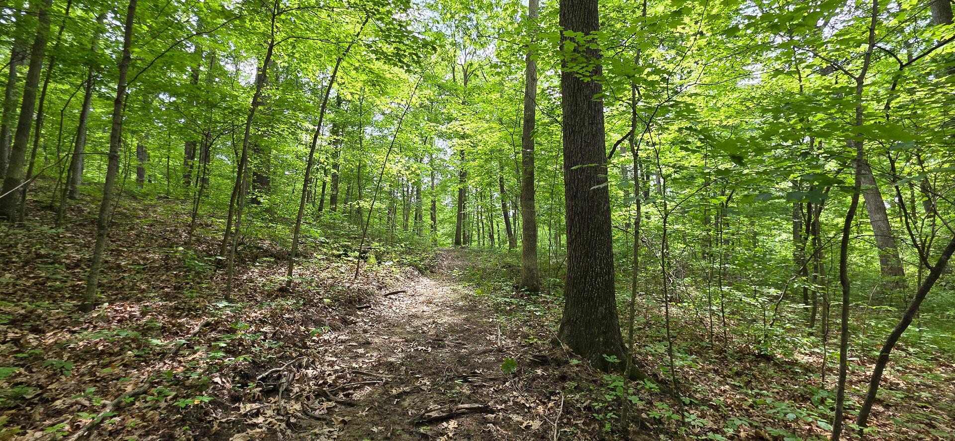 Edmunson Road #TRACT 2 AT BIG TIMBER, Vinton, Ohio image 22