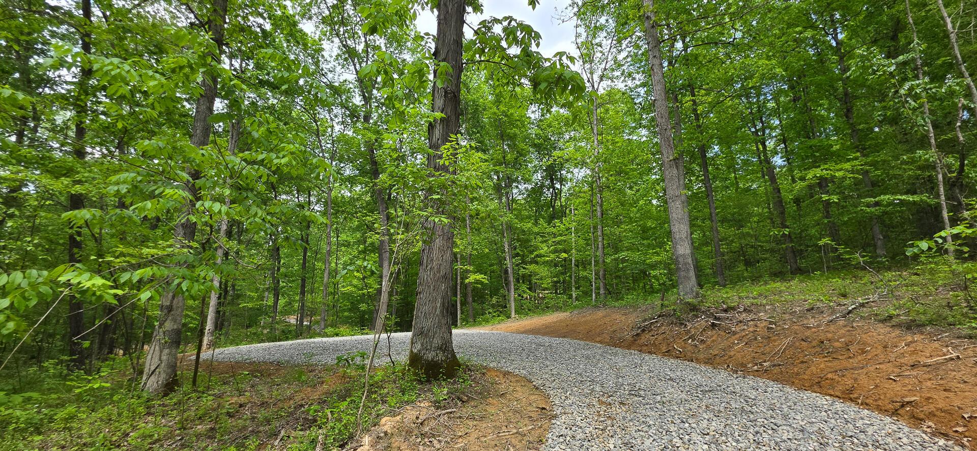 Edmunson Road #TRACT 2 AT BIG TIMBER, Vinton, Ohio image 3