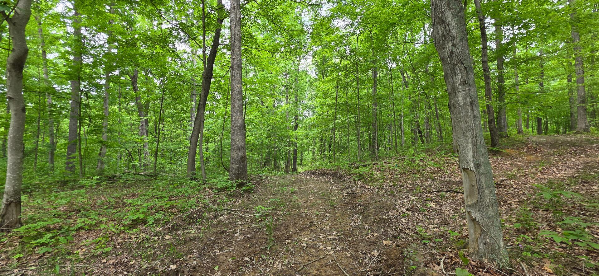 Edmunson Road #TRACT 2 AT BIG TIMBER, Vinton, Ohio image 14