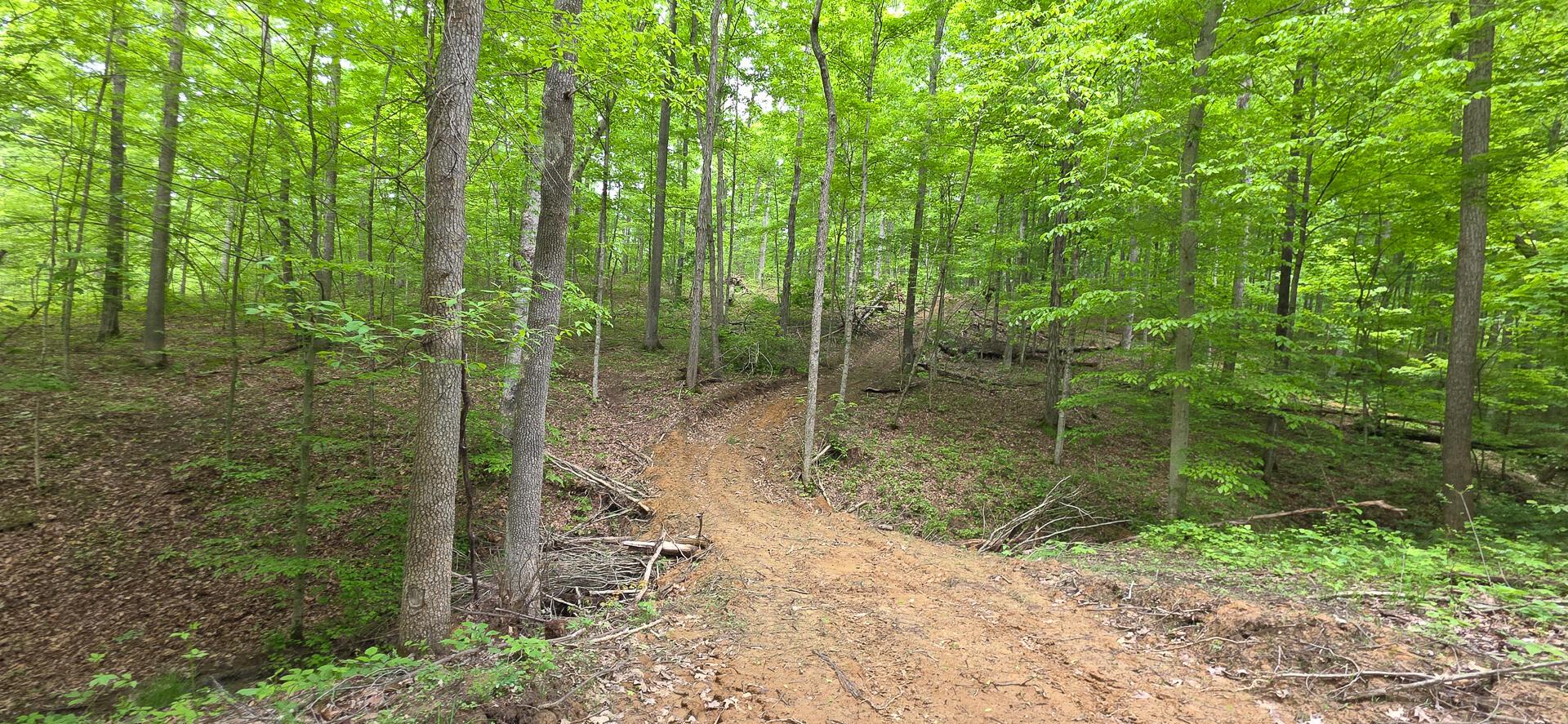 Edmunson Road #TRACT 2 AT BIG TIMBER, Vinton, Ohio image 11