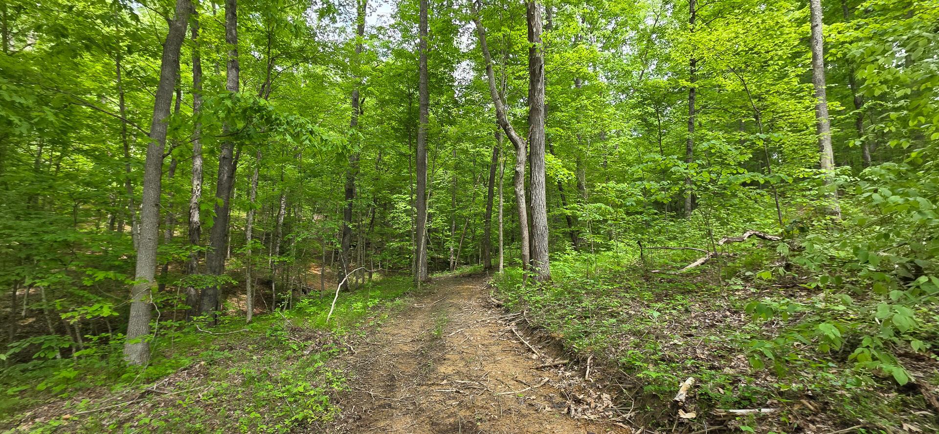 Edmunson Road #TRACT 2 AT BIG TIMBER, Vinton, Ohio image 10