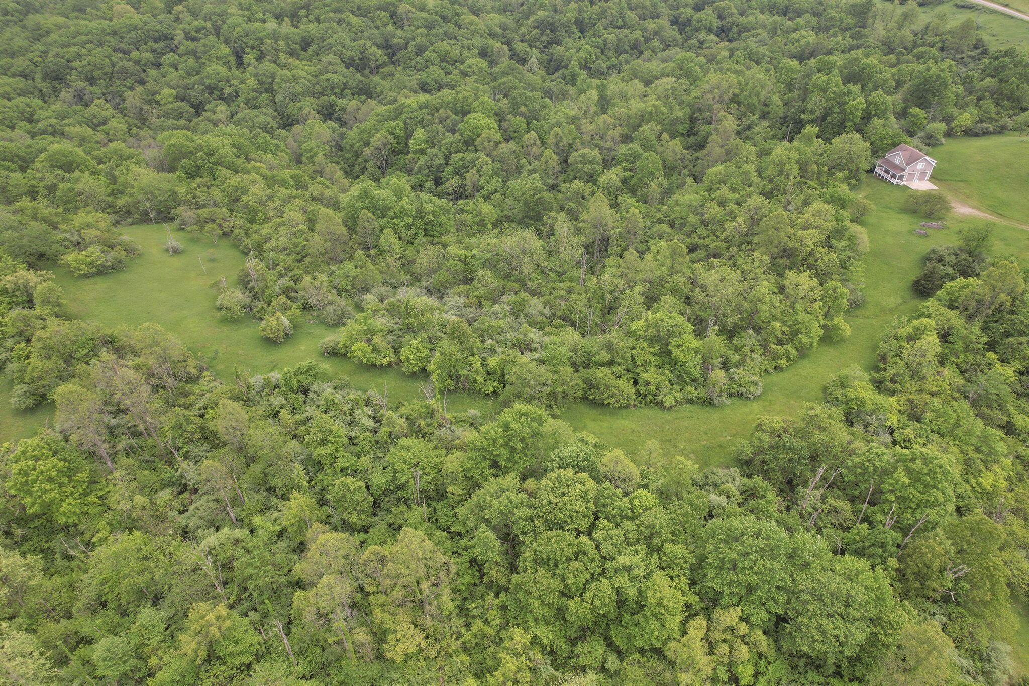 14300 Coolville Ridge Road, Athens, Ohio image 33