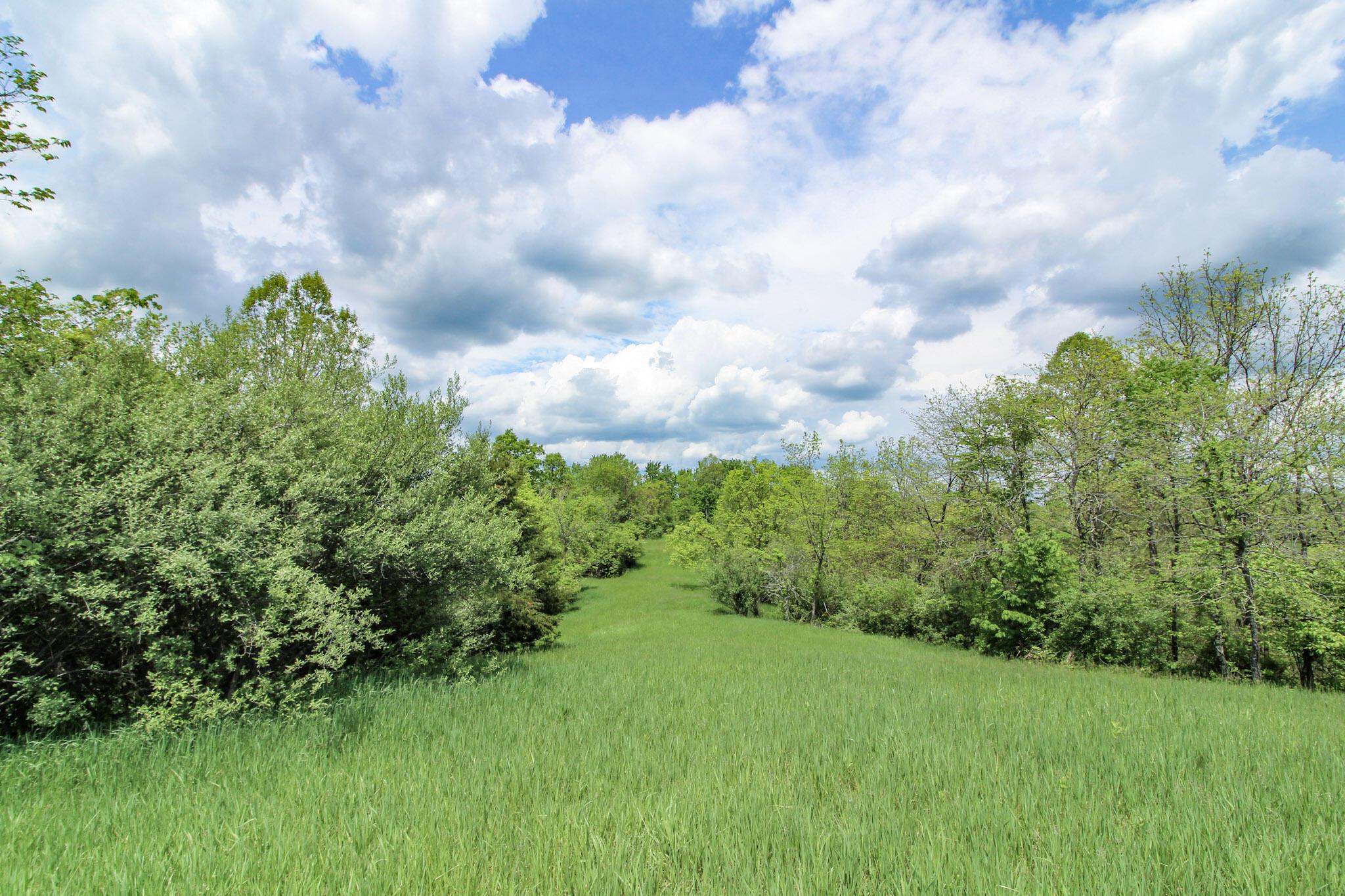 14300 Coolville Ridge Road, Athens, Ohio image 39