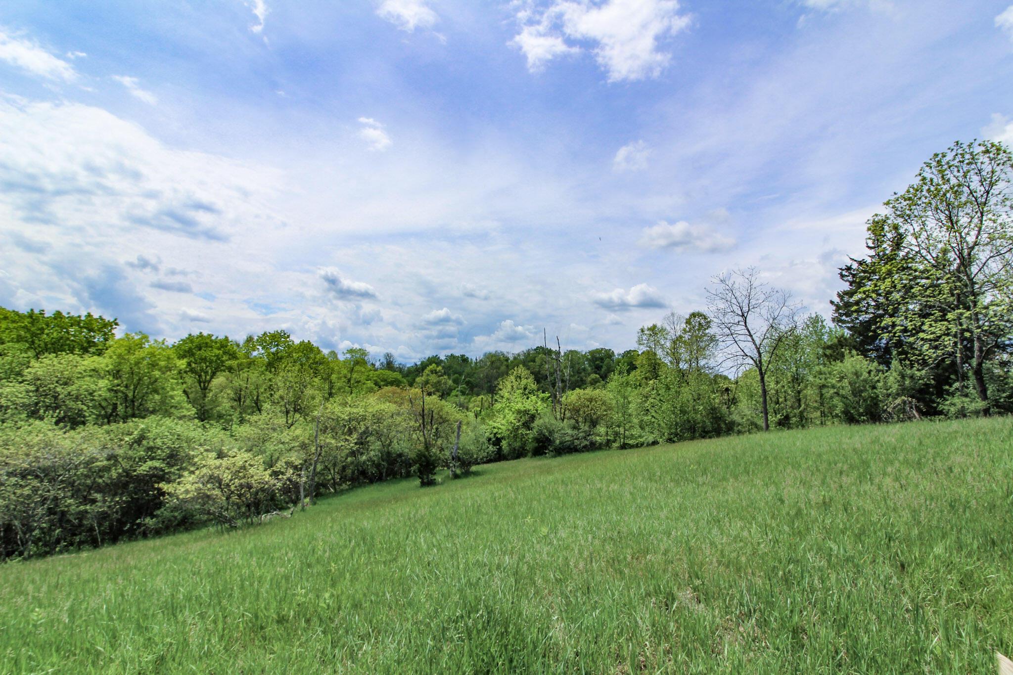 14300 Coolville Ridge Road, Athens, Ohio image 41