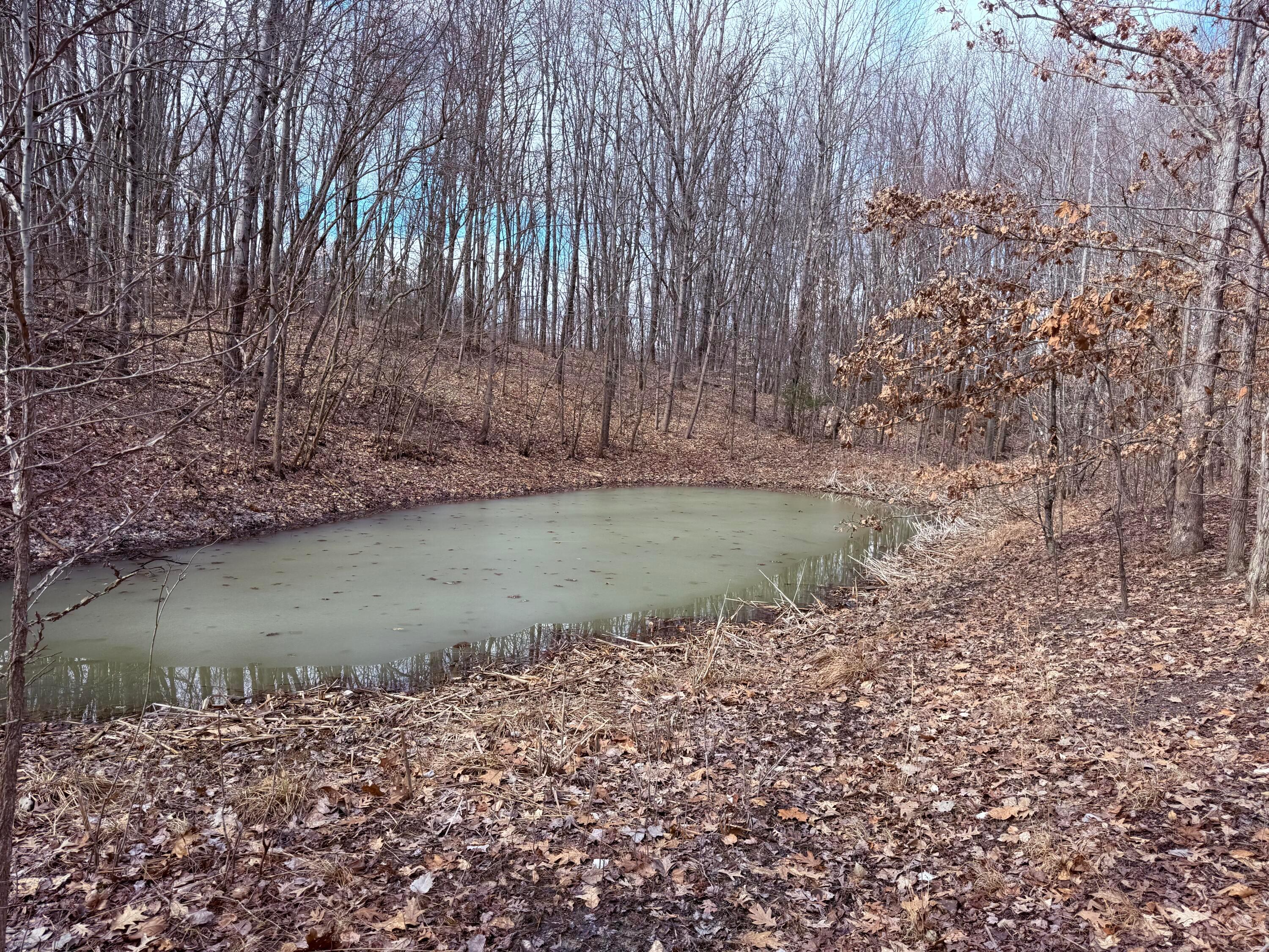 8189 Wesley Chapel Road, Somerset, Ohio image 12