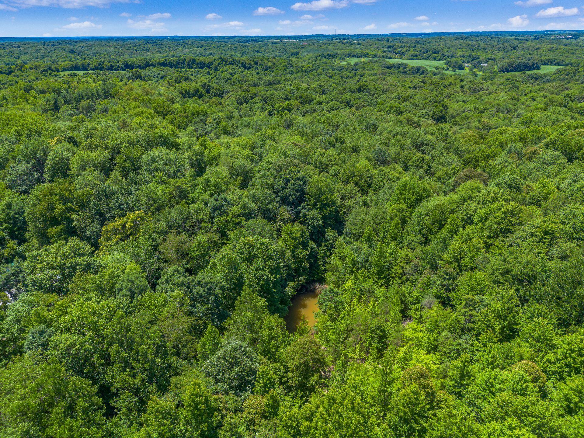 8189 Wesley Chapel Road, Somerset, Ohio image 3