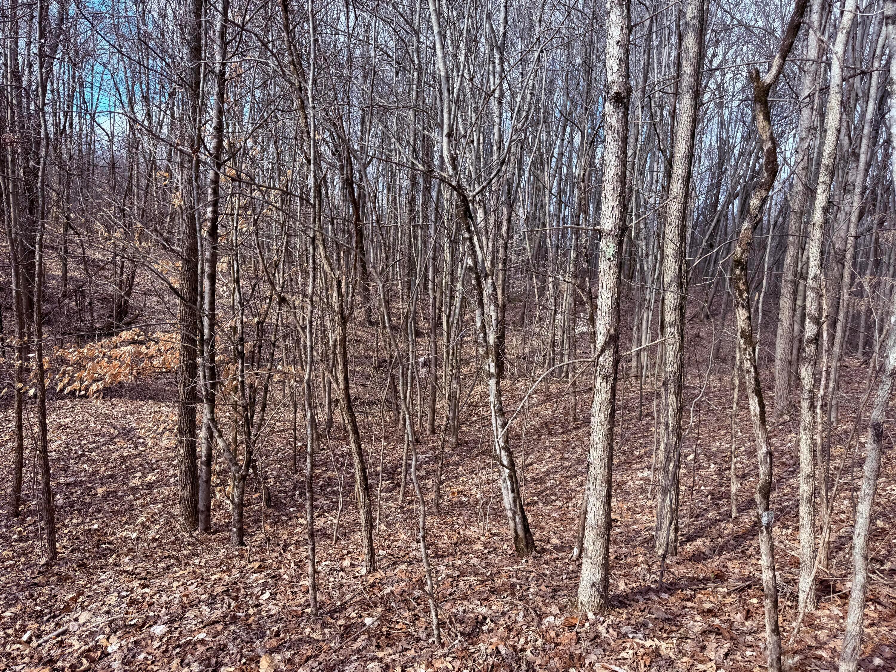8189 Wesley Chapel Road, Somerset, Ohio image 10