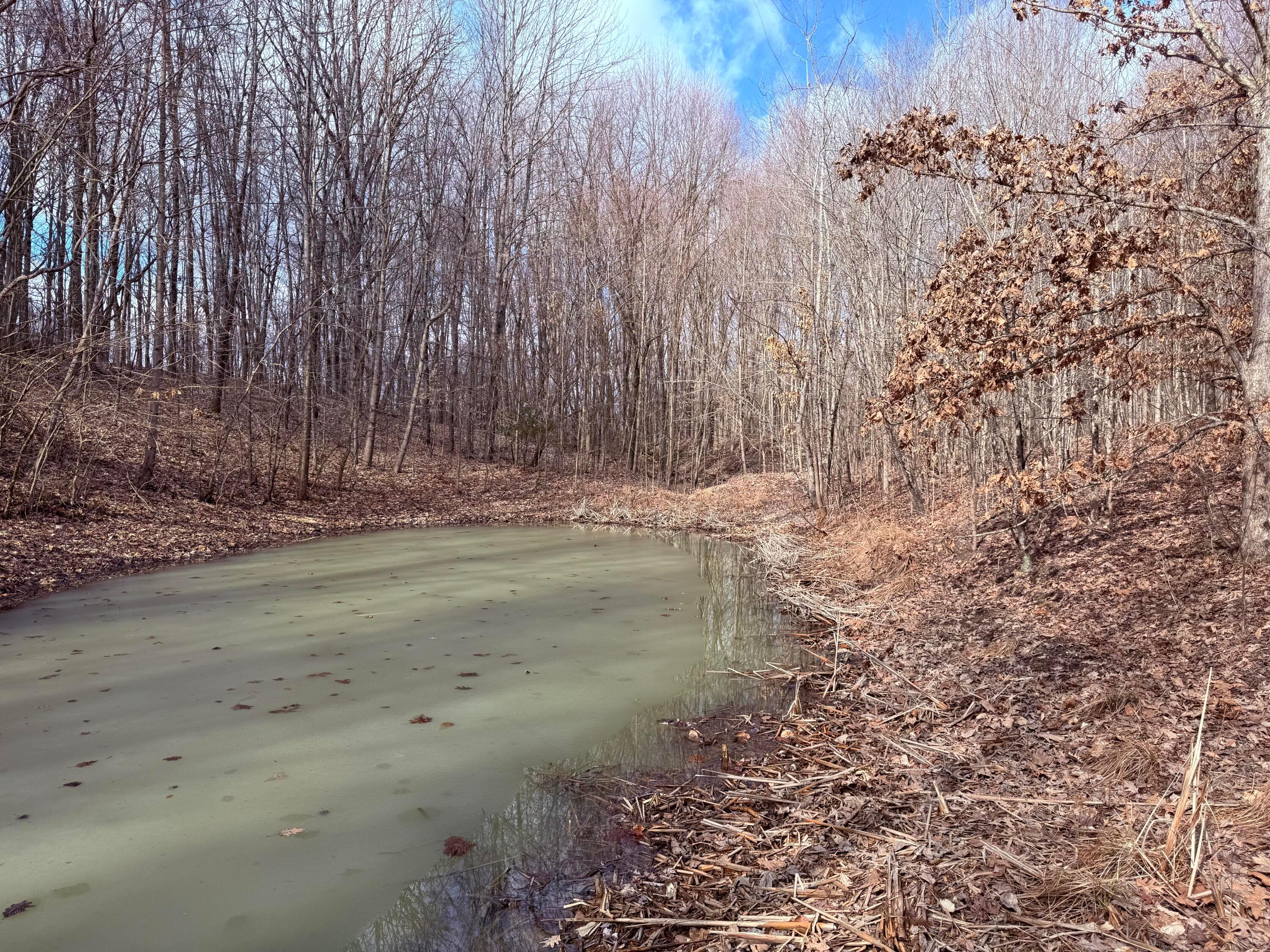 8189 Wesley Chapel Road, Somerset, Ohio image 11