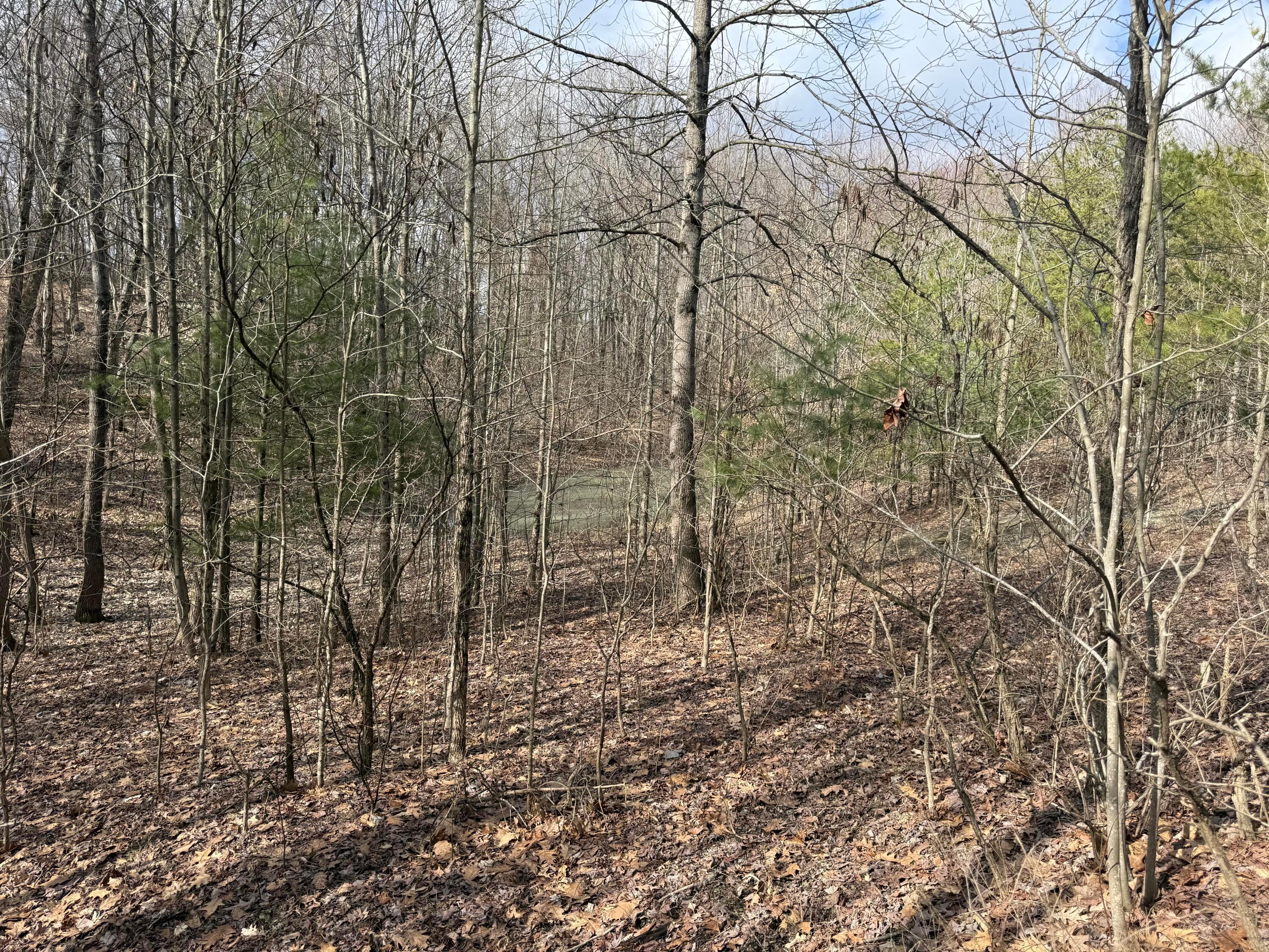 8189 Wesley Chapel Road, Somerset, Ohio image 14