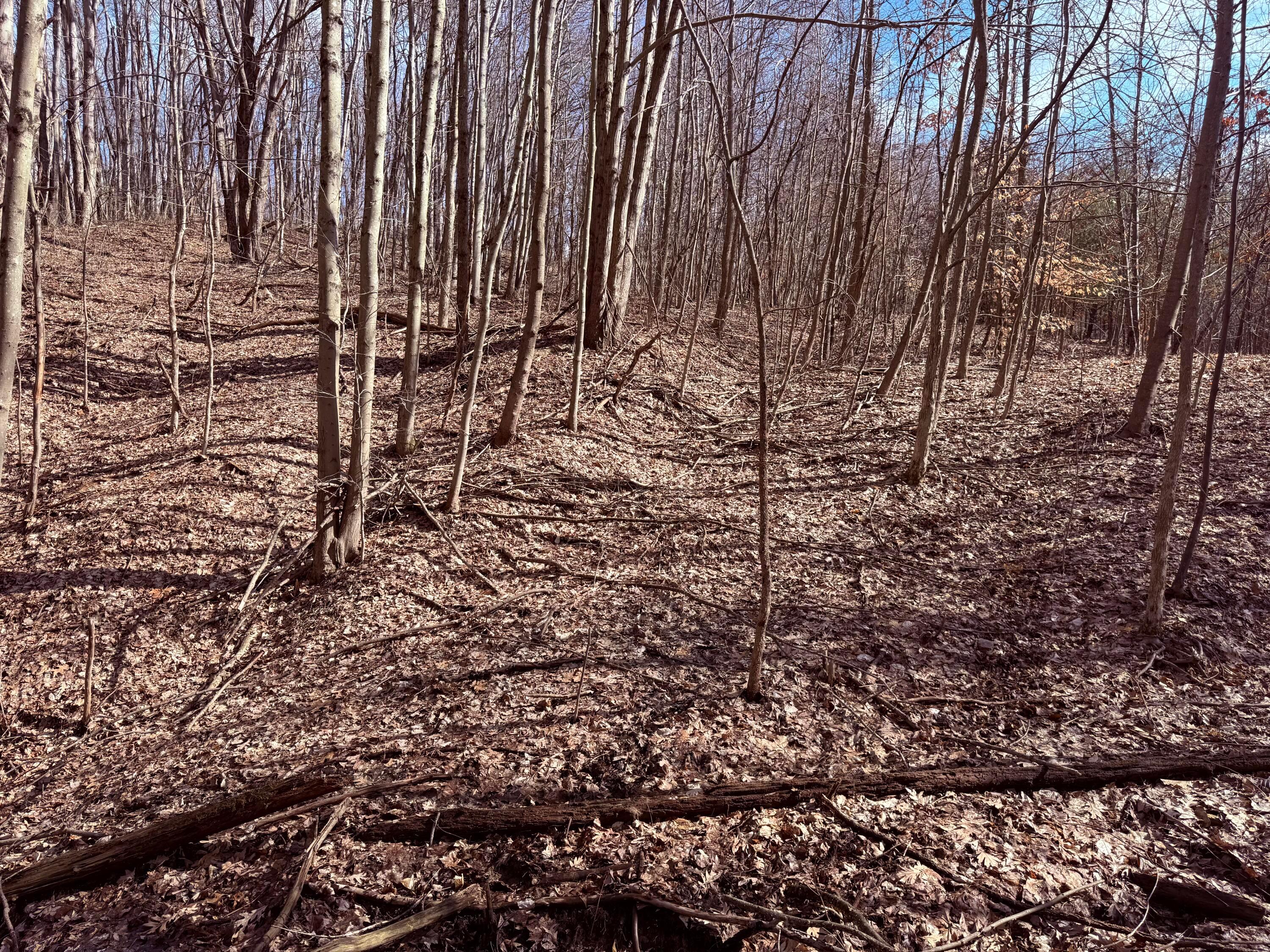 8189 Wesley Chapel Road, Somerset, Ohio image 8