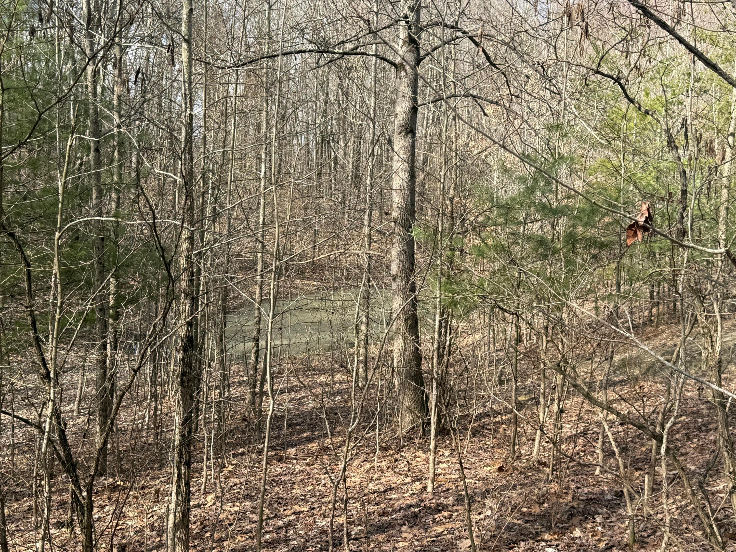 8189 Wesley Chapel Road, Somerset, Ohio image 13