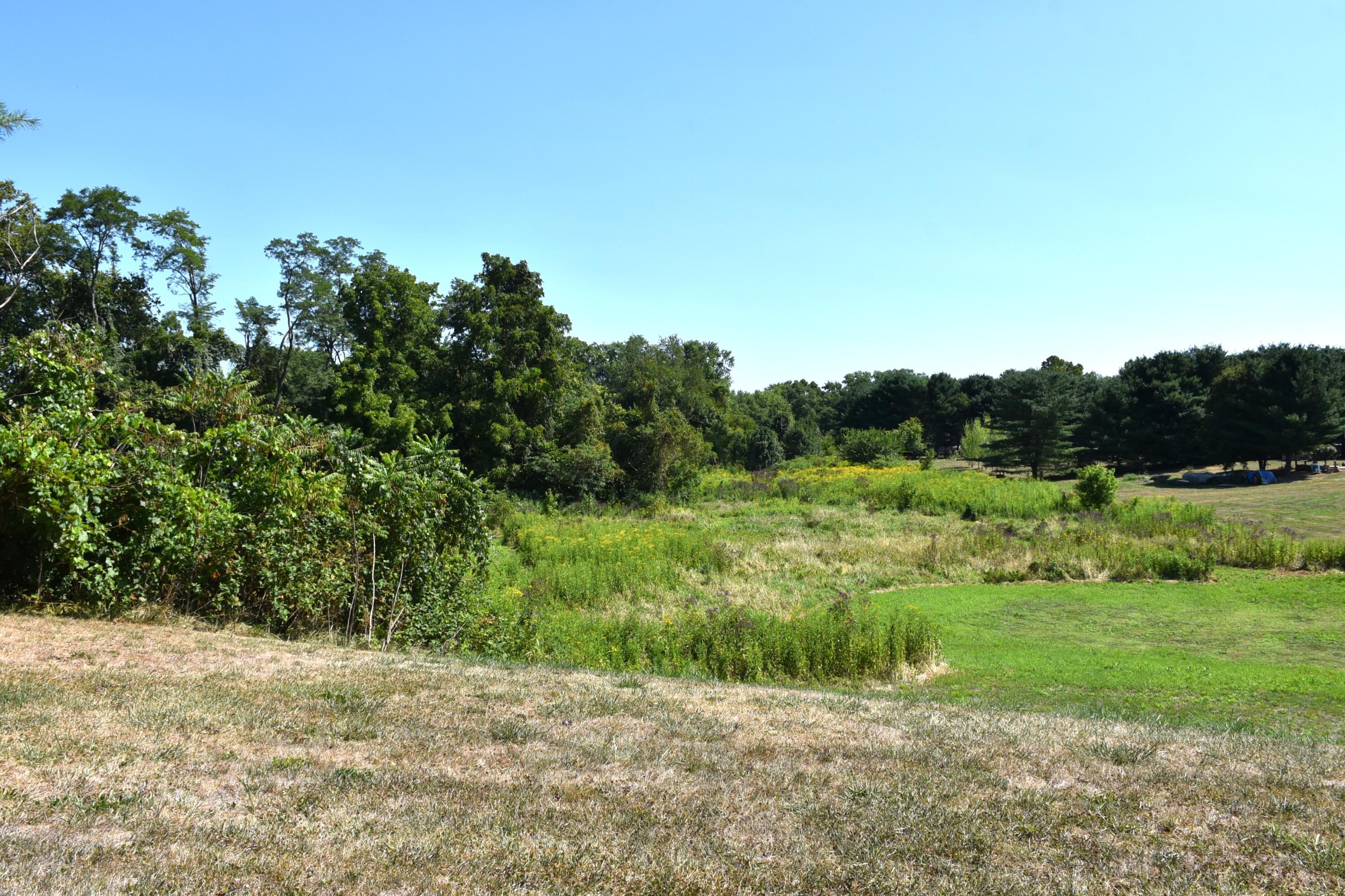 View Reedsville, OH 45772 property