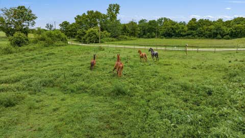 Tiny photo for 7360 Jones Road, Nashport, OH 43830 (MLS # 226029399)