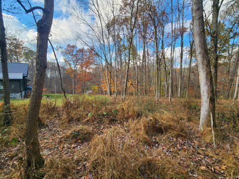 Photo of 0 King Beach Drive, Howard, OH 43028 (MLS # 225043317)